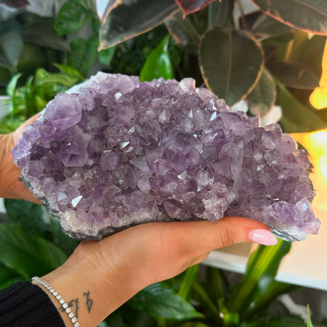 Everyday stones to quality crystals and statement pieces at My Florist Launceston Tasmania