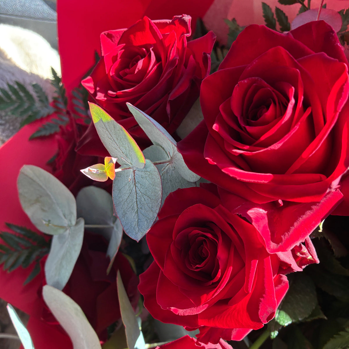 A close-up of a bouquet featuring vibrant red roses and silver eucalyptus available for same day flower delivery in Launceston TAS.