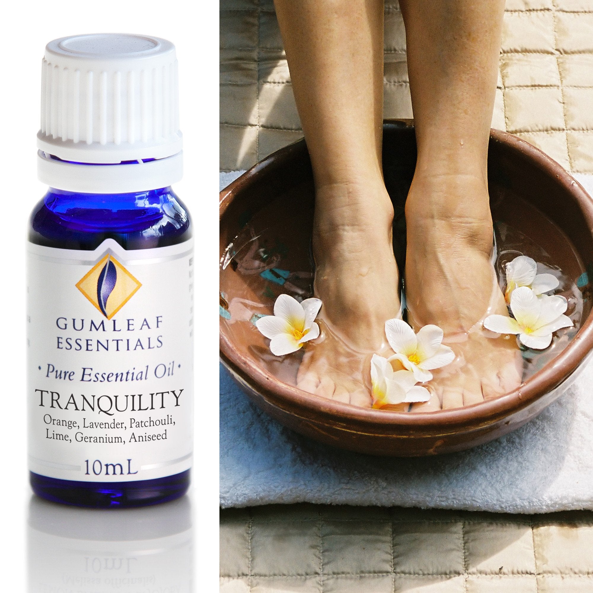  Essential oils for aromatherapy, diffusers and everyday wellbeing rituals at My Florist Launceston