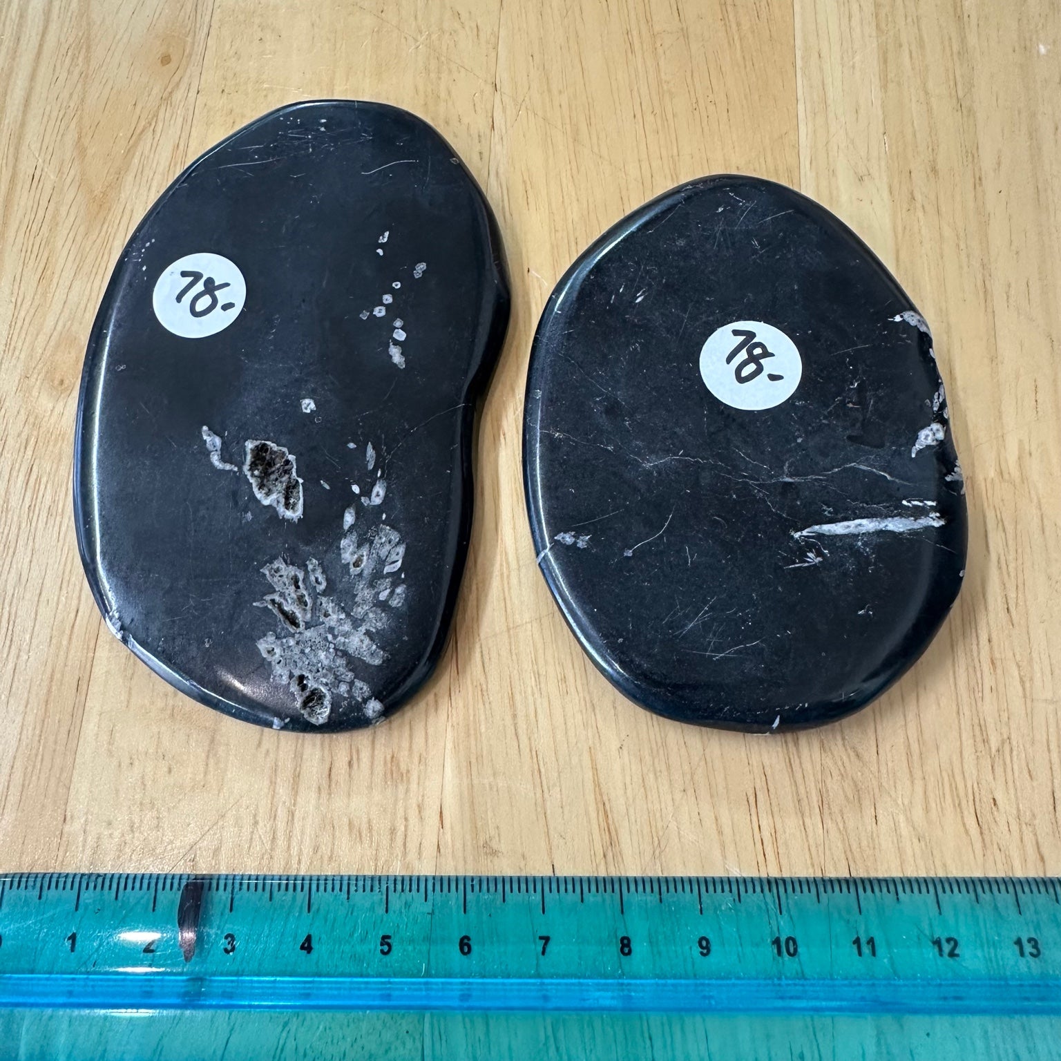 Chrysanthemum Stone - White Celestite Flower in Black Matrix