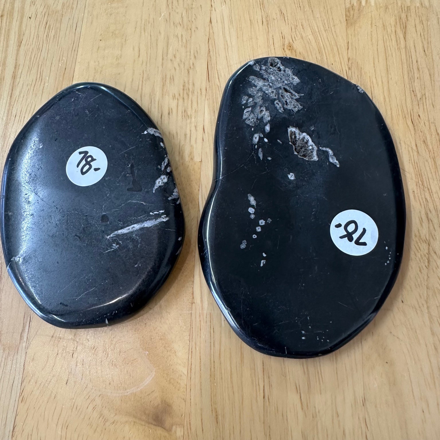 Chrysanthemum Stone - White Celestite Flower in Black Matrix