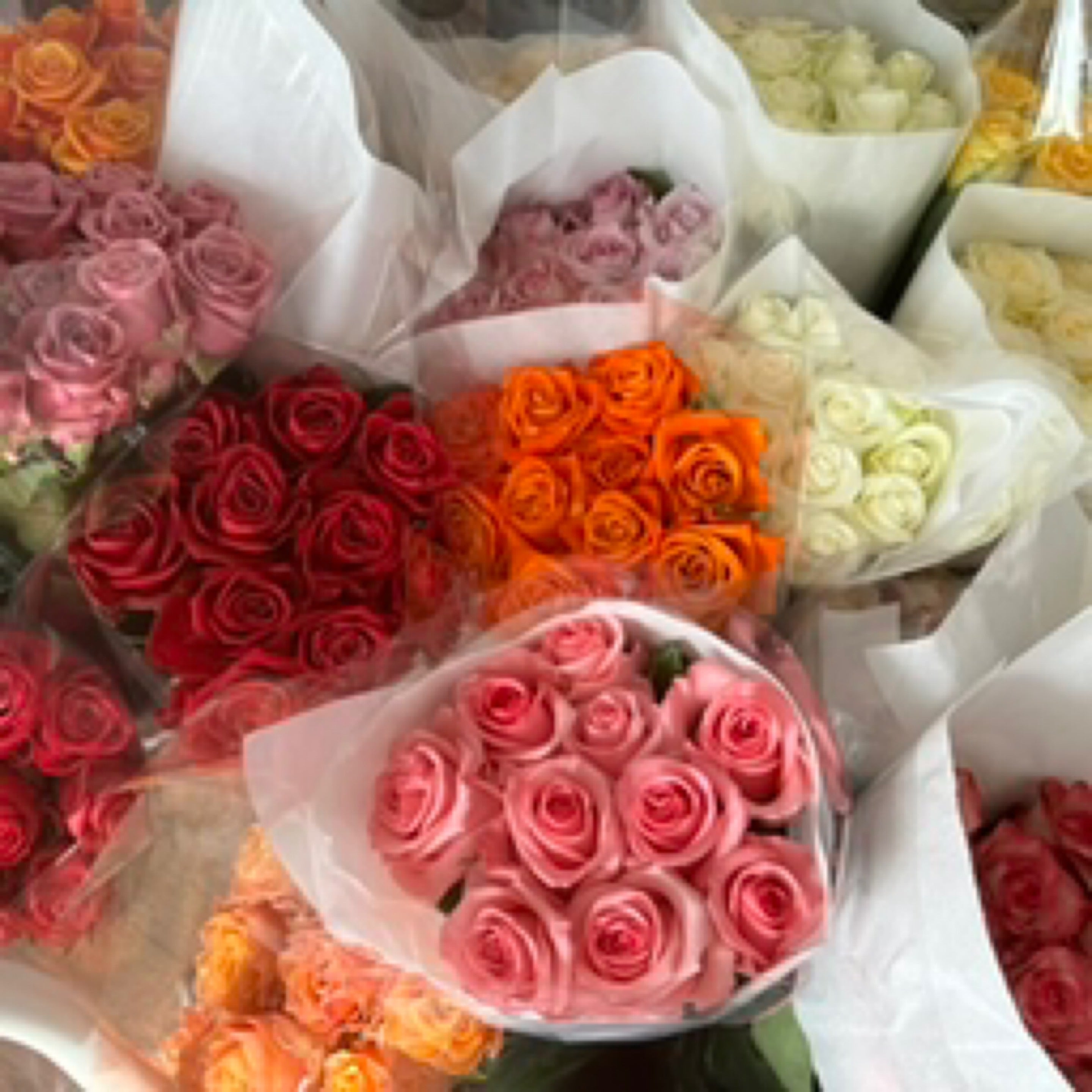 Bouquets of colourful roses from My Florist & metaphysical launceston
