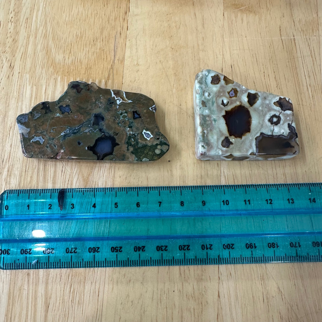 Rhyolite (Rainforest Jasper) Polished