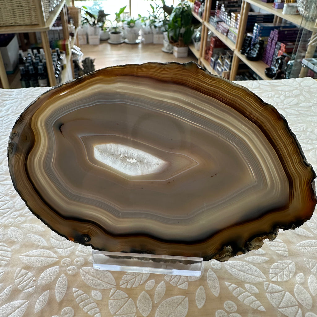 Agate Slice – Top Collectors Grade