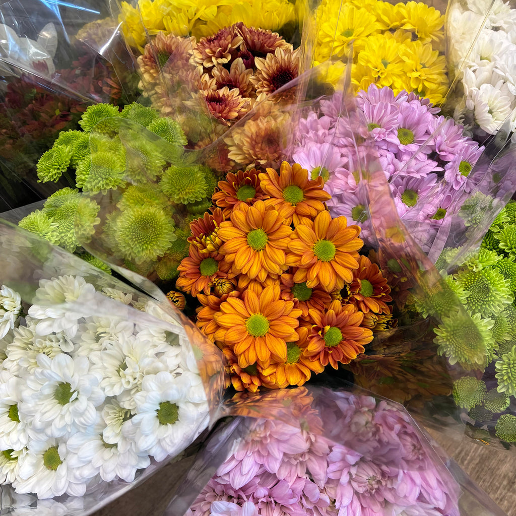 Tasmanian Chrysanthemum Bouquet from