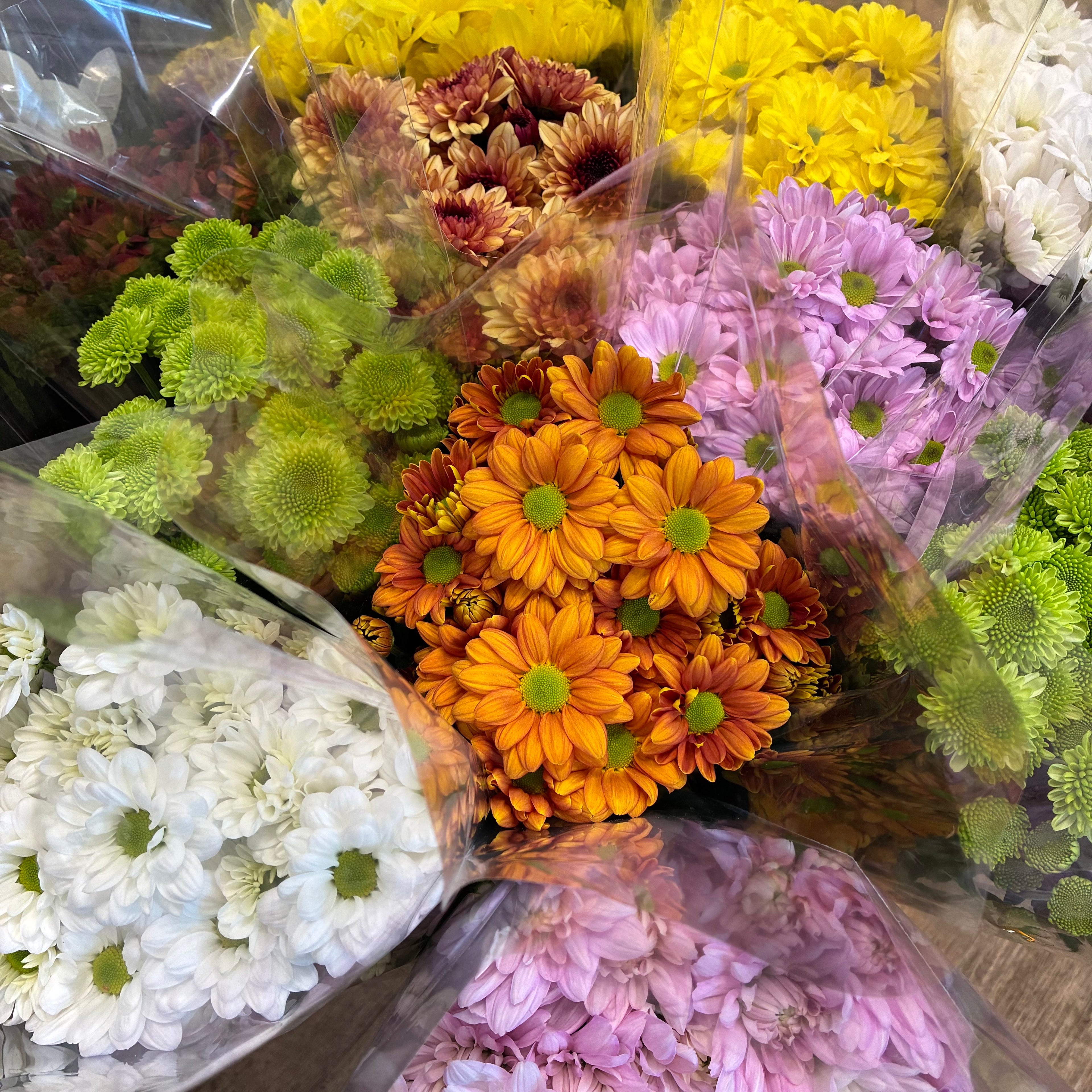 Tasmanian Chrysanthemum Bouquet from