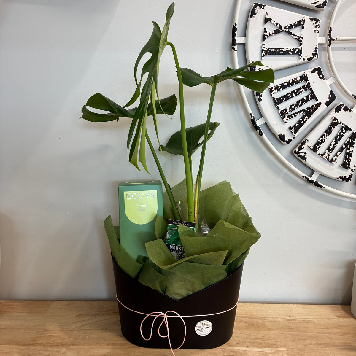 Diffuser and Indoor Plant Hamper
