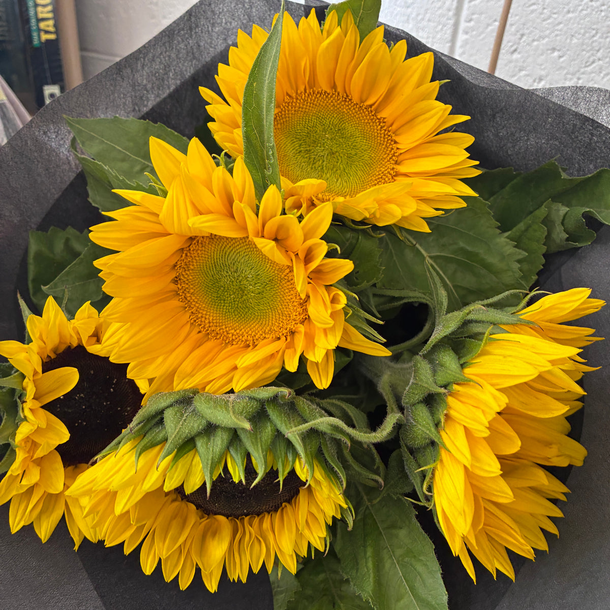Sunflower