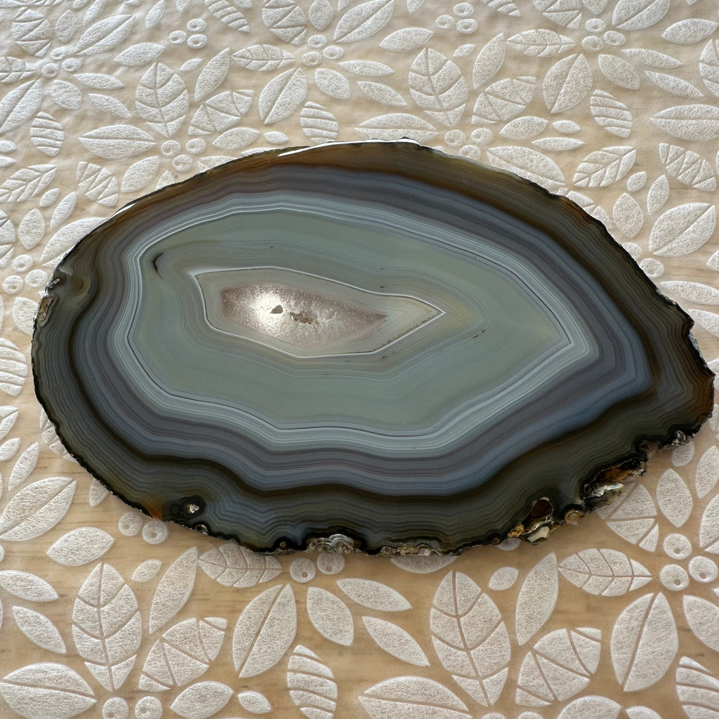 Agate Slice – Top Collectors Grade