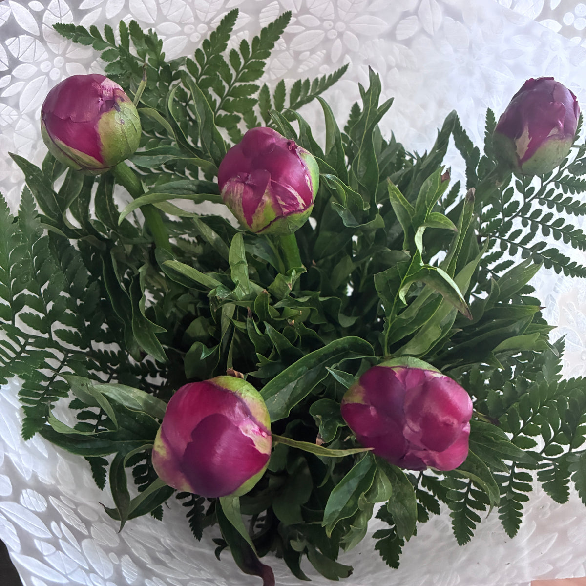Peony