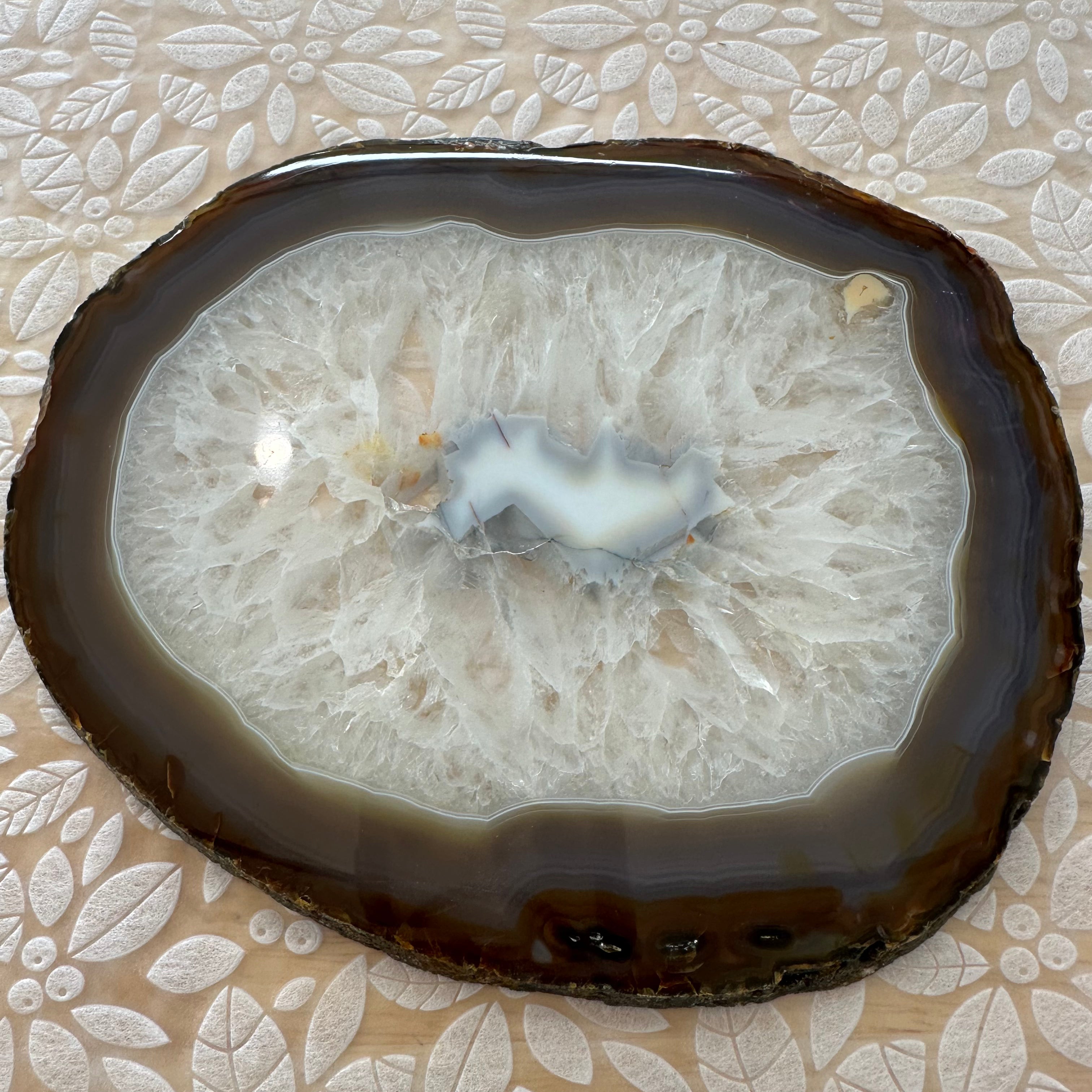 Agate Slice – Top Collectors Grade
