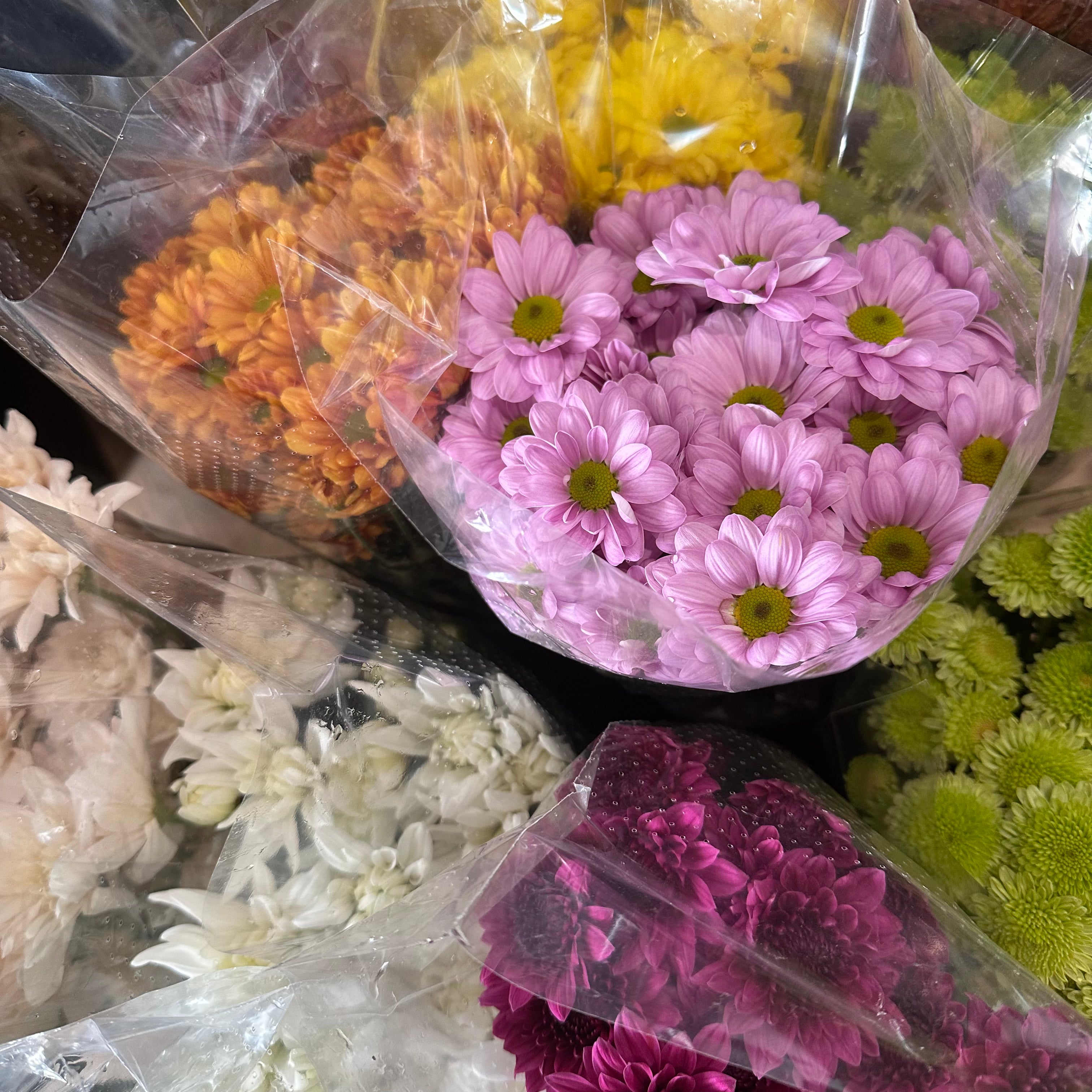 Tasmanian Chrysanthemum Bouquet from