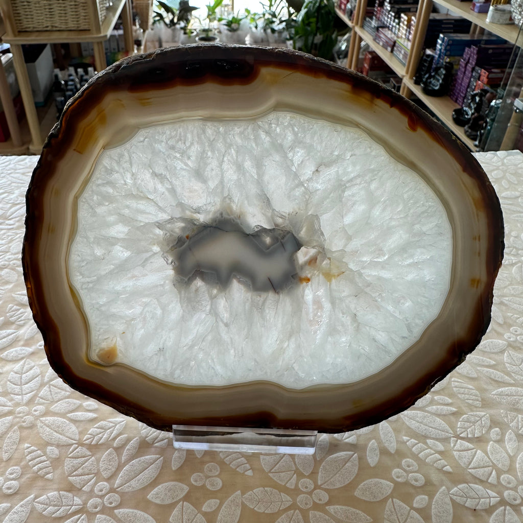 Agate Slice – Top Collectors Grade