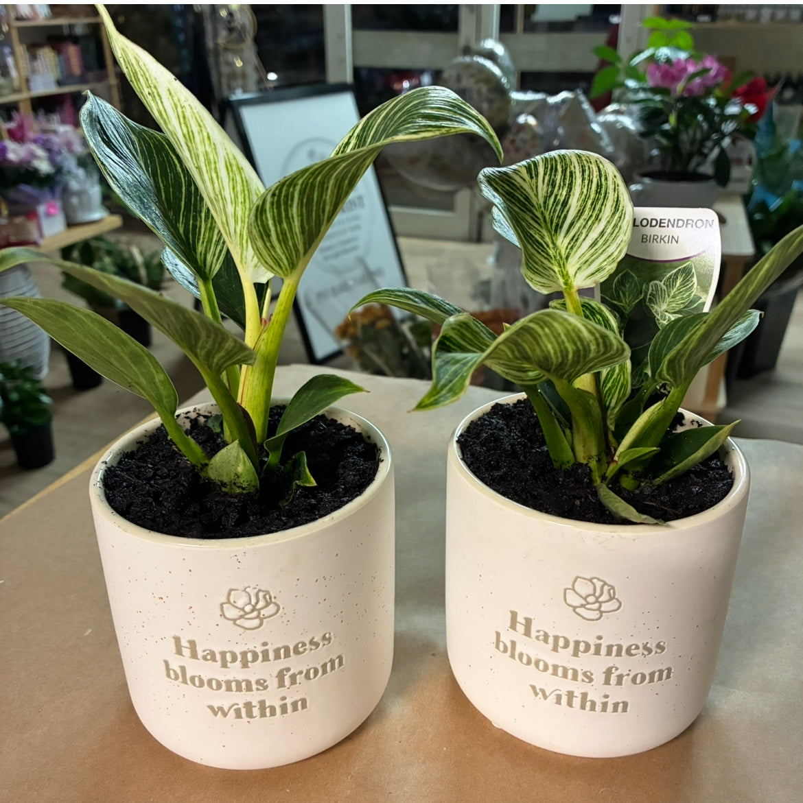 Happiness Blooms from Within - Pot Planter