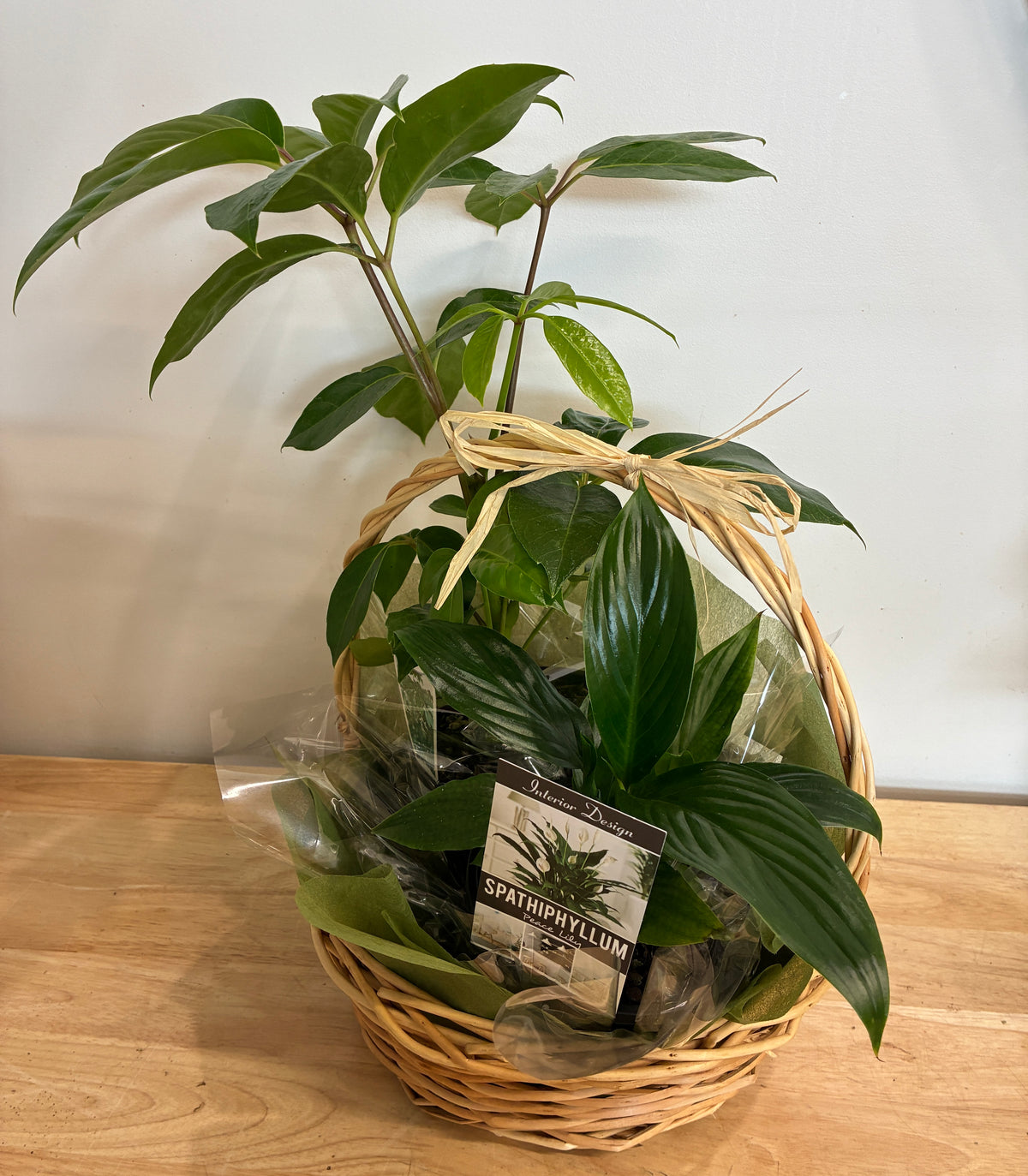 Indoor Plant Gift Basket Duo