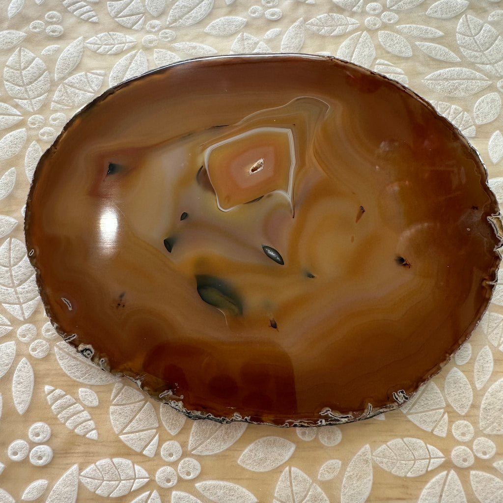 Agate Slice – Top Collectors Grade