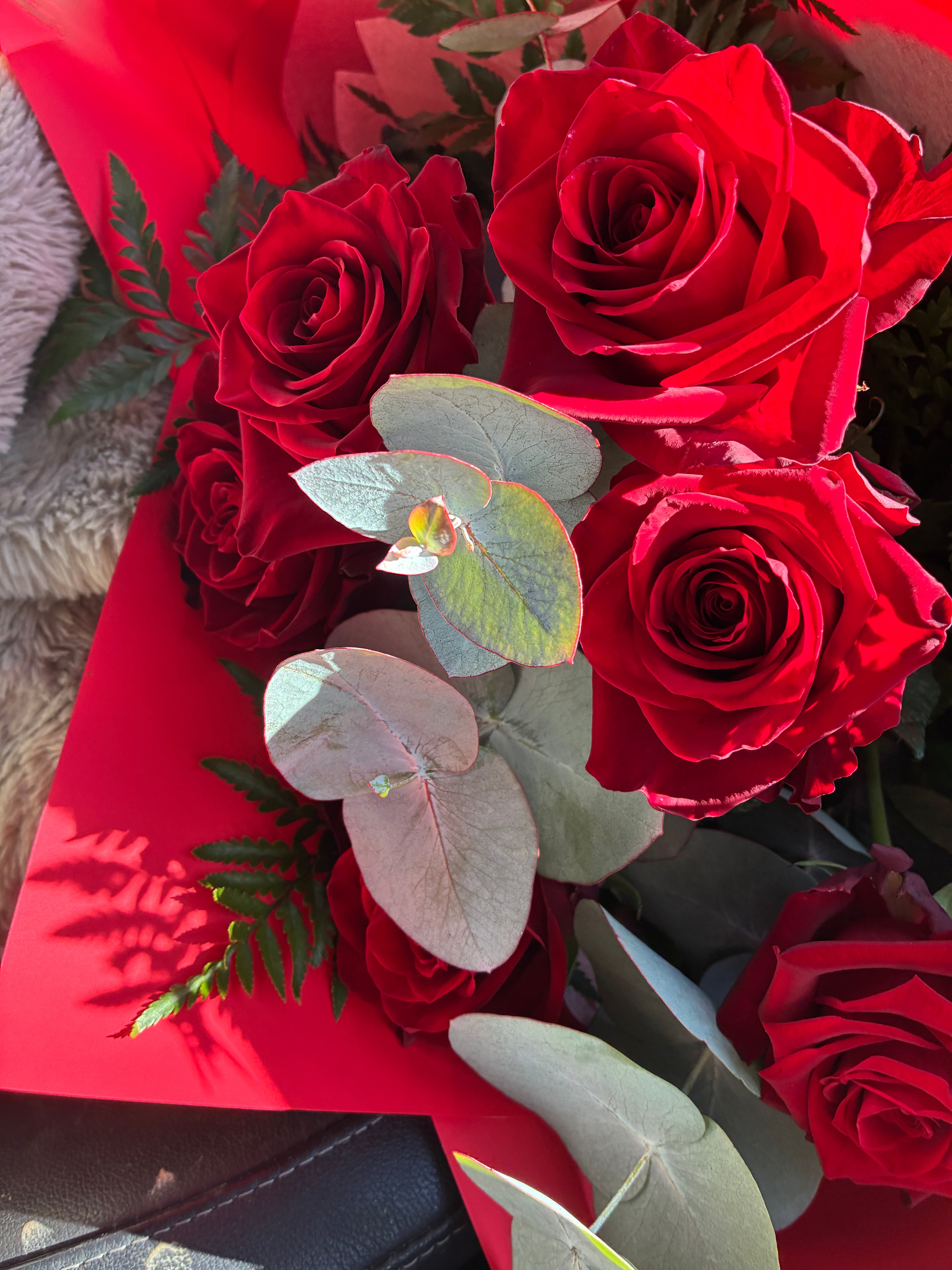 Half dozen red roses by My Florist, a local Launceston florist.