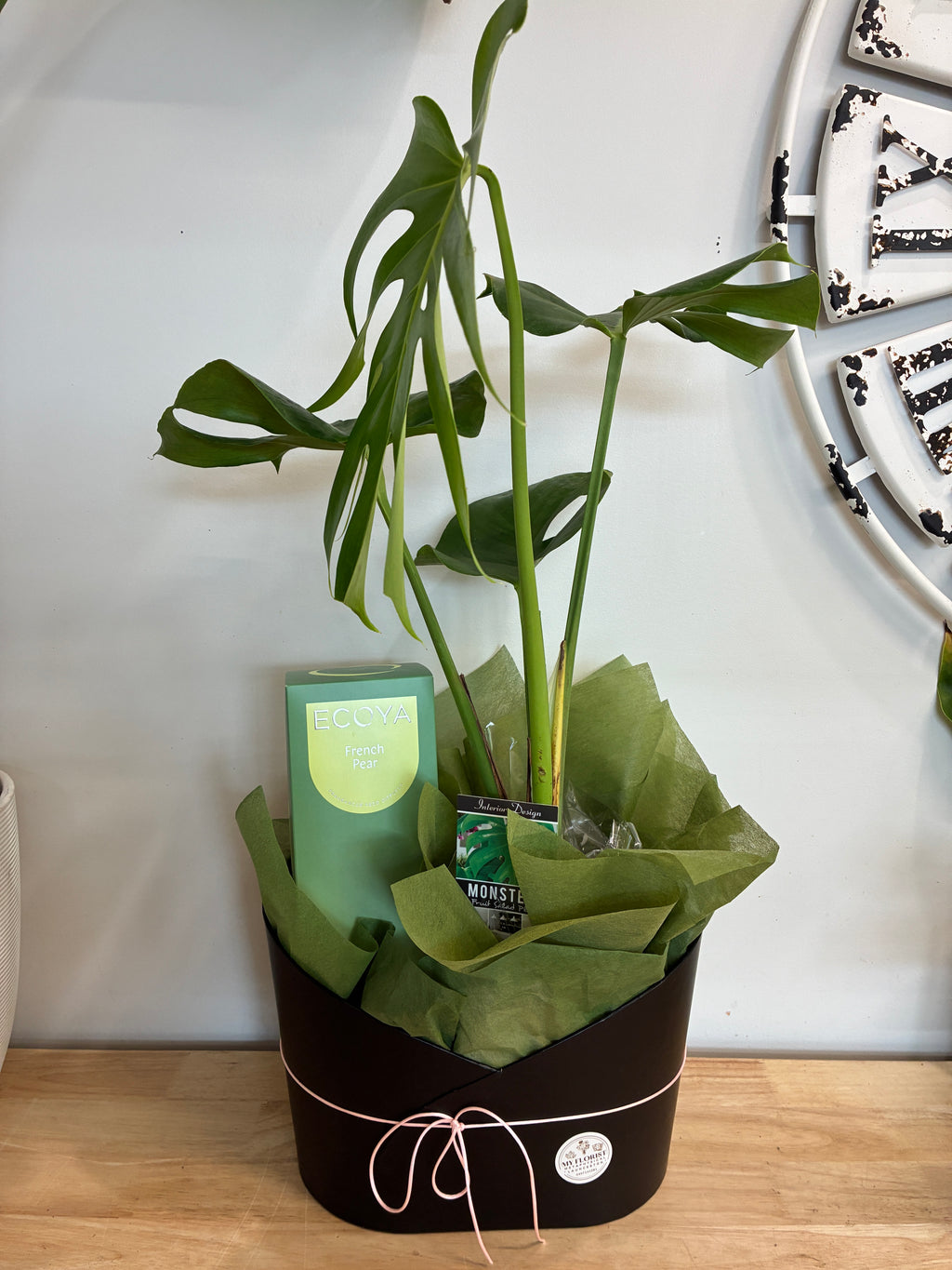 Diffuser and Indoor Plant Hamper