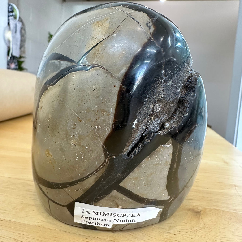 Septarian Nodule Freeform with Quartz Crystals