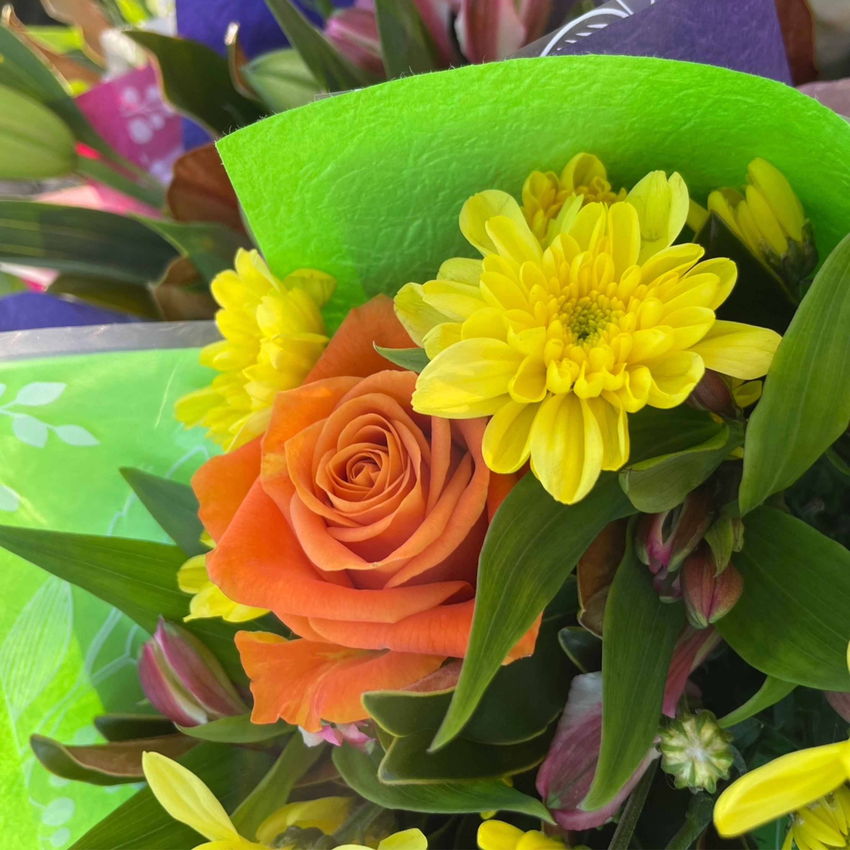 Posy Mix of colourful fresh Flowers at My Florist Launceston Tasmania