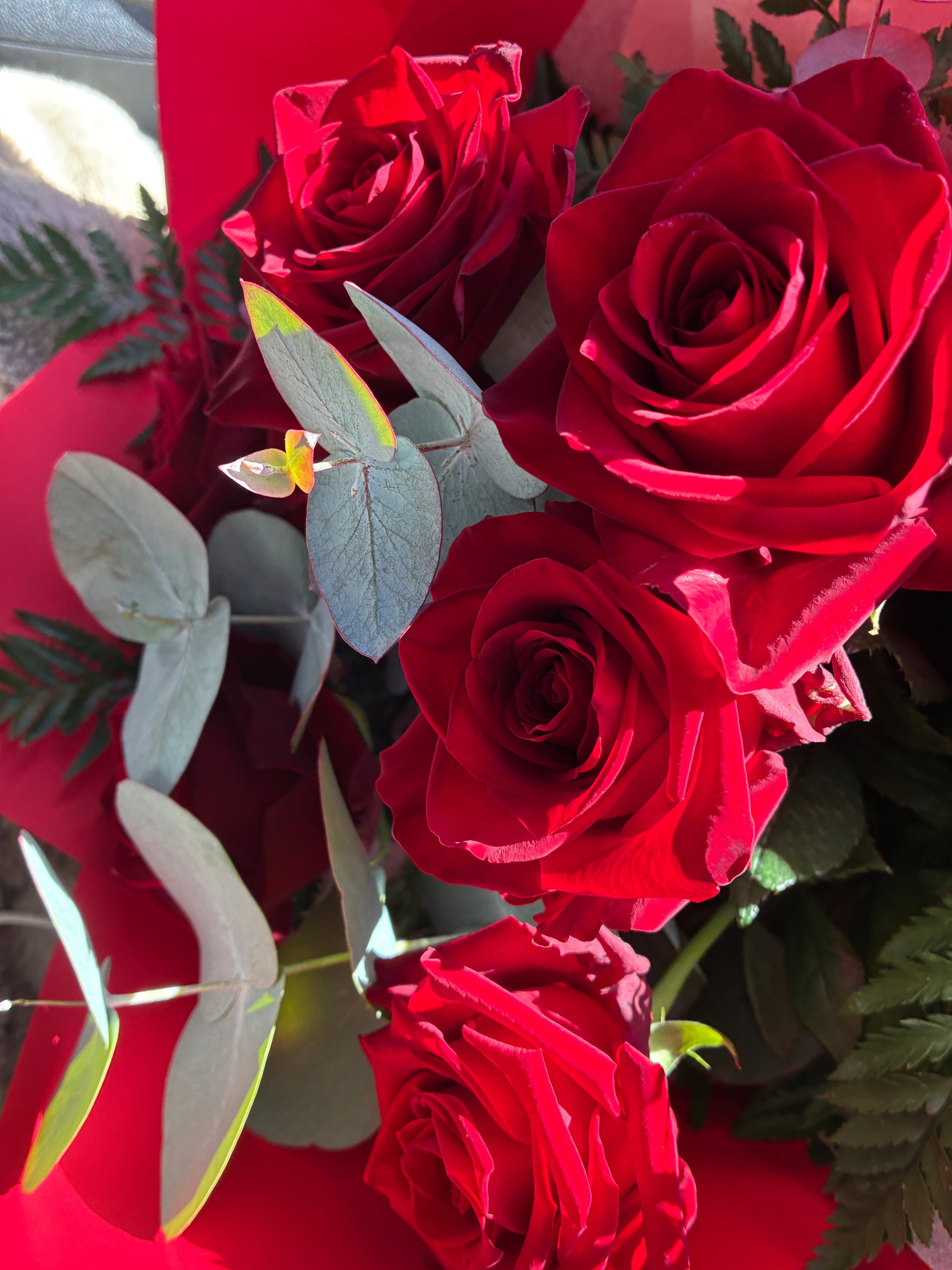 A close-up of a bouquet featuring vibrant red roses and silver eucalyptus available for same day flower delivery in Launceston TAS.