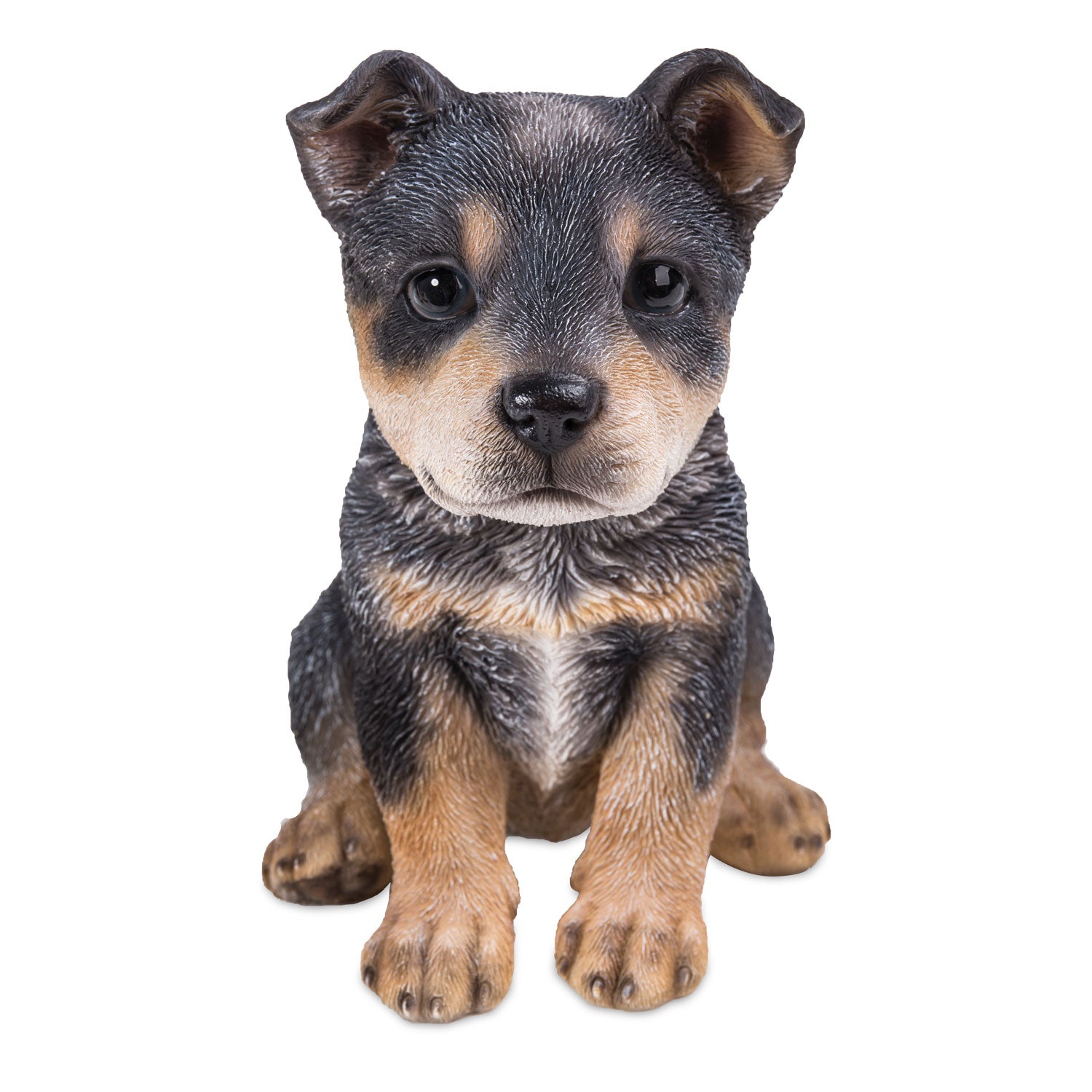 Blue Heeler Small