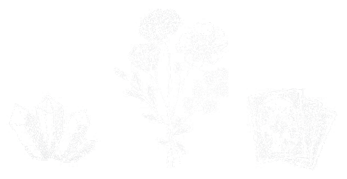 My Florist Launceston Tasmania Transparent Icons