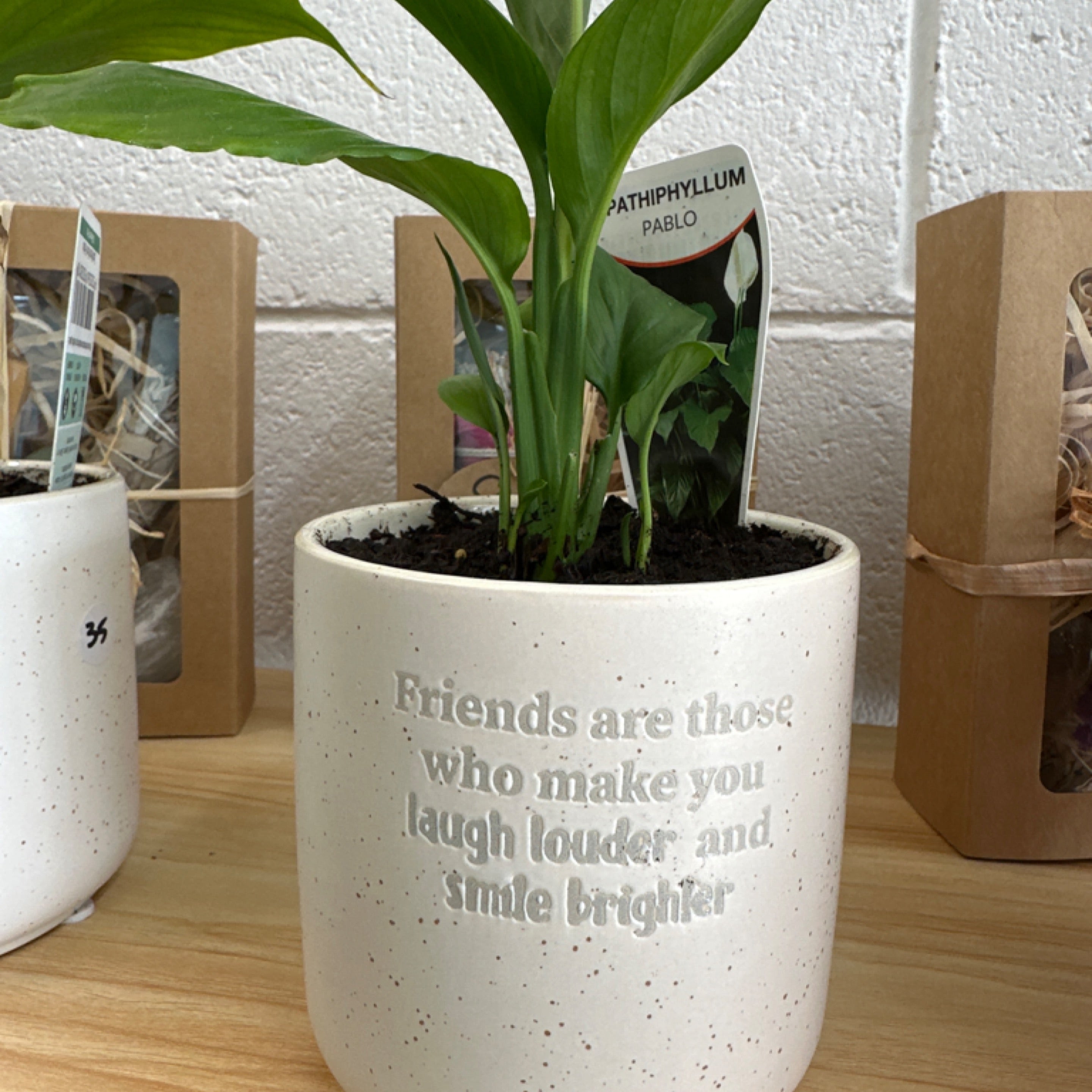 Friends Smile Brighter - Pot Planter - peace lily