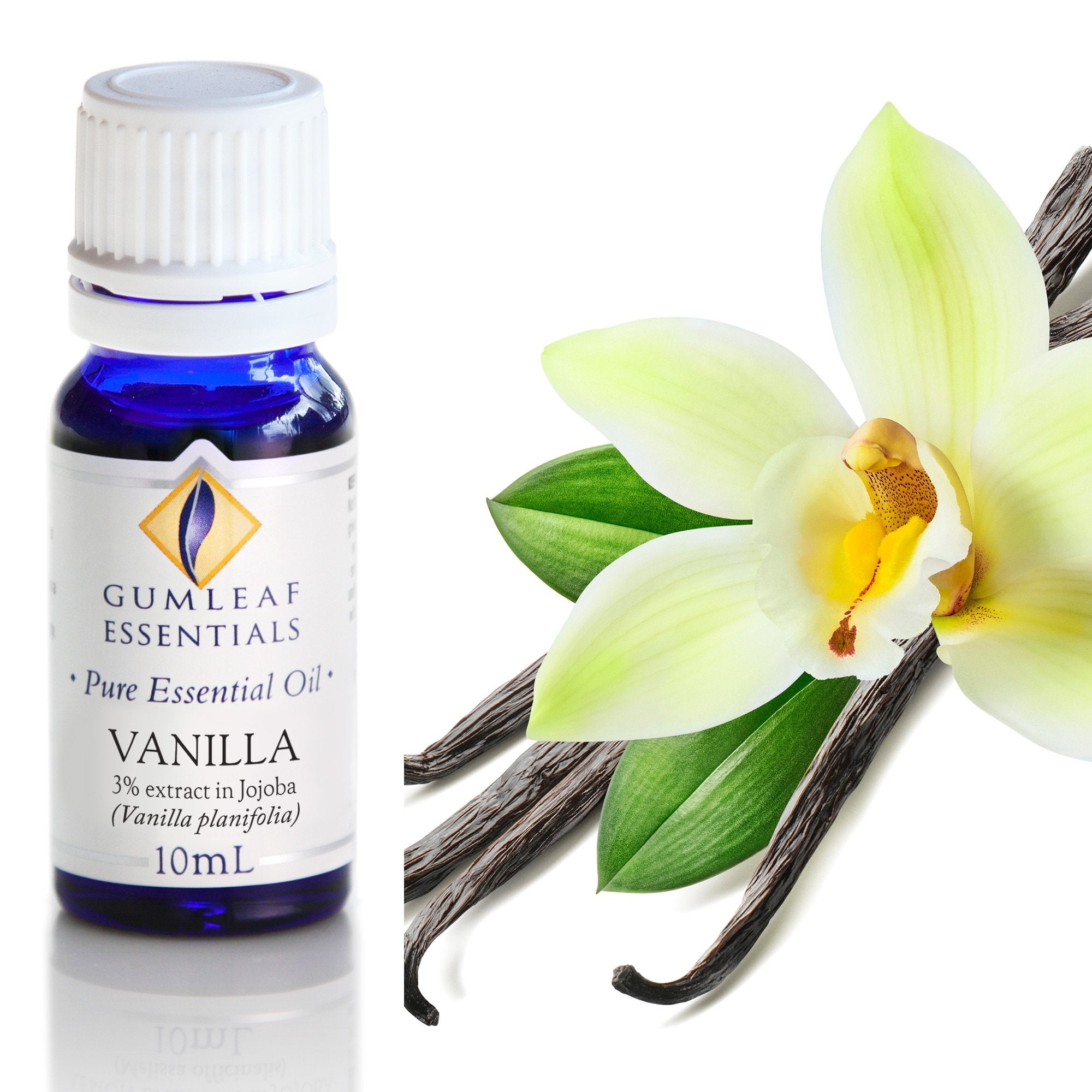 Vanilla (3% In Jojoba) Essential Oil