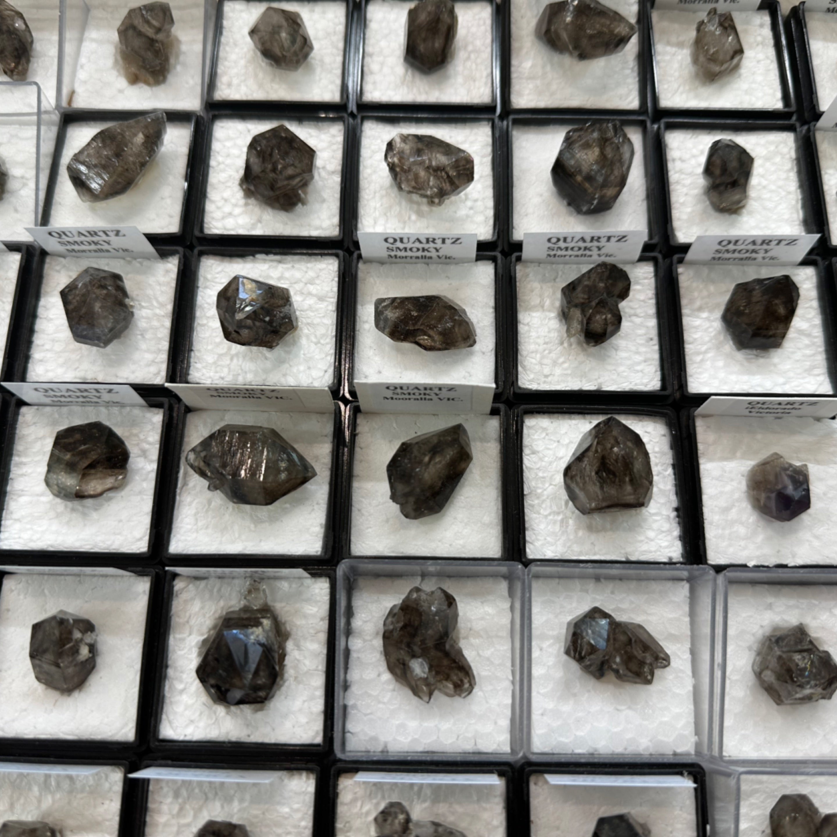 Mooralla Smoky Quartz Points