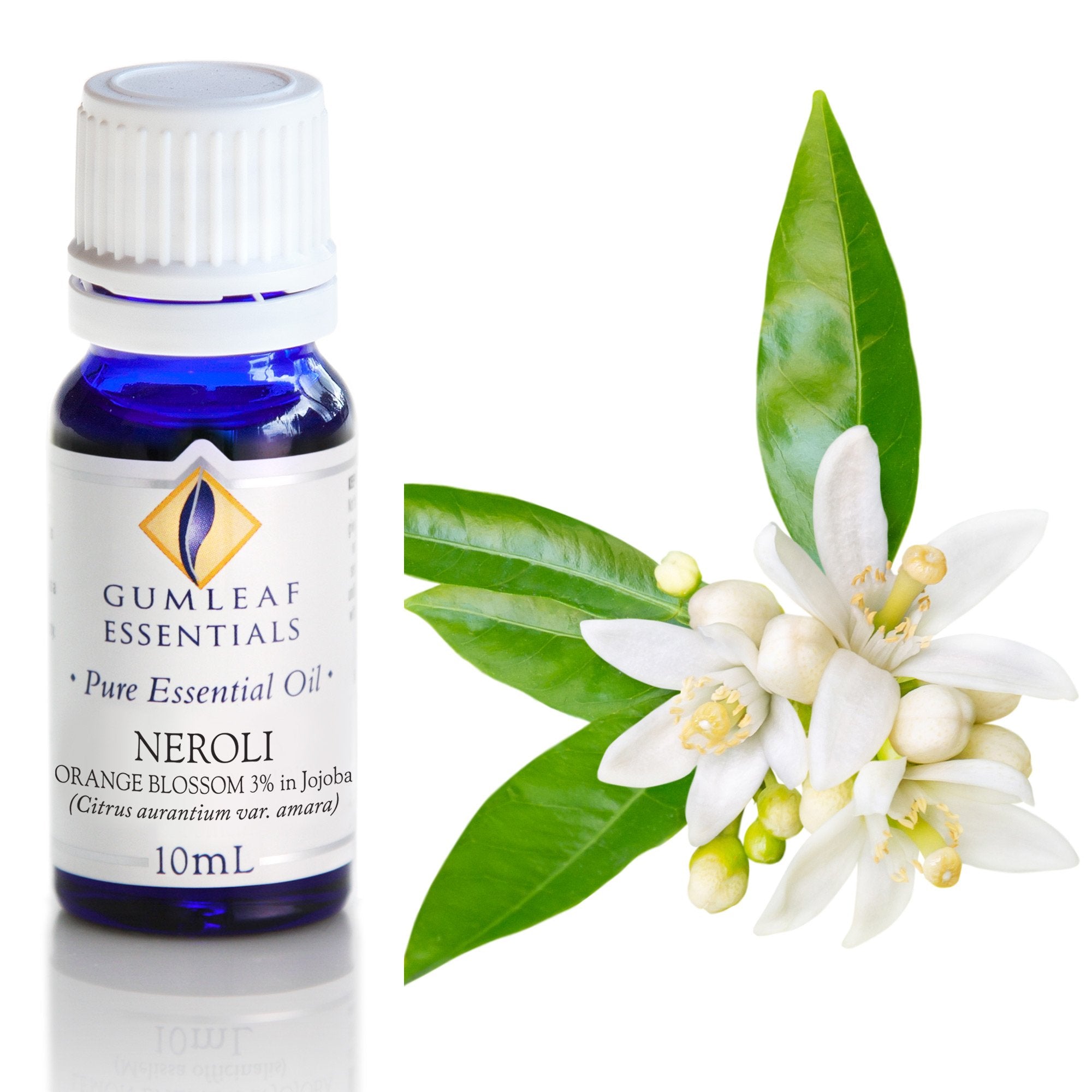 Neroli Orange Blossom (3% In Jojoba) Essential Oil