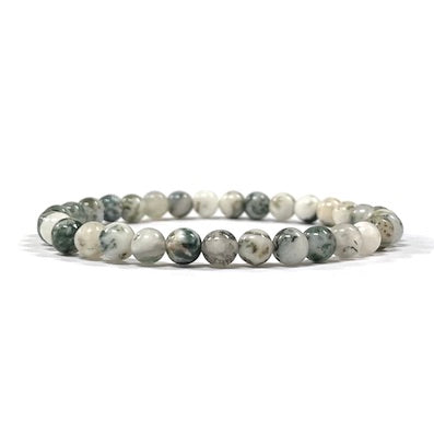 Tree Agate Bead Bracelet 6mm
