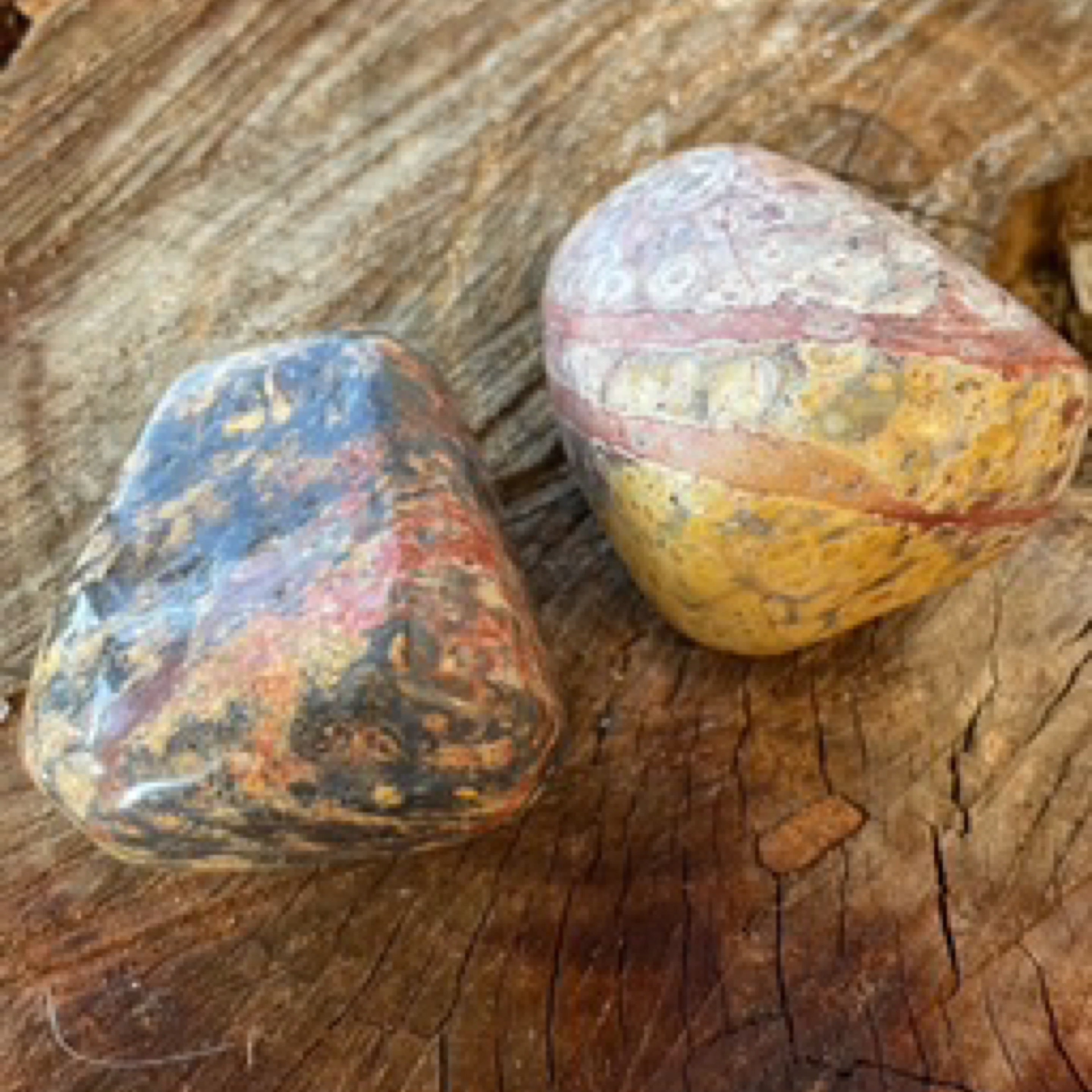 Leopard Skin Jasper Jumbo Tumbled Gemstones