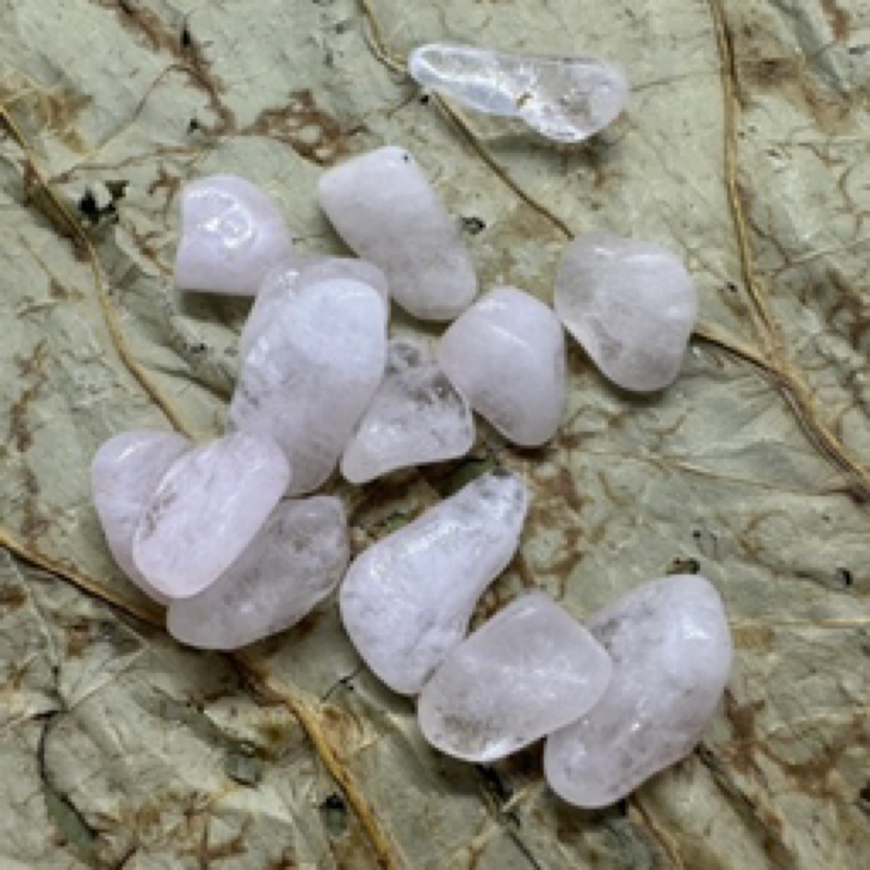 Morganite Tumbled Stones - Calming