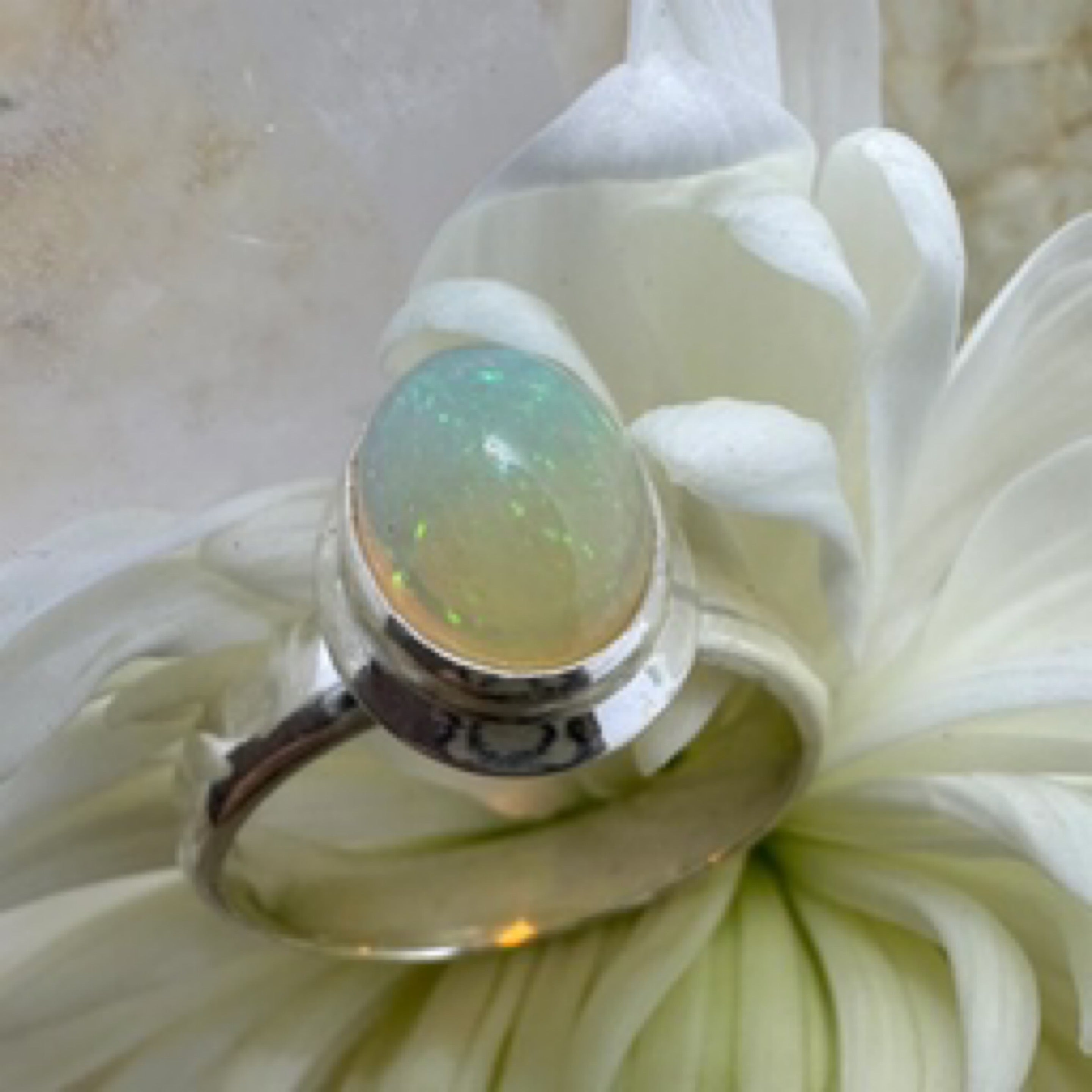 Opal Oval 925 Sterling Silver Ring - Size 8 - Quality Gemstone Jewellery