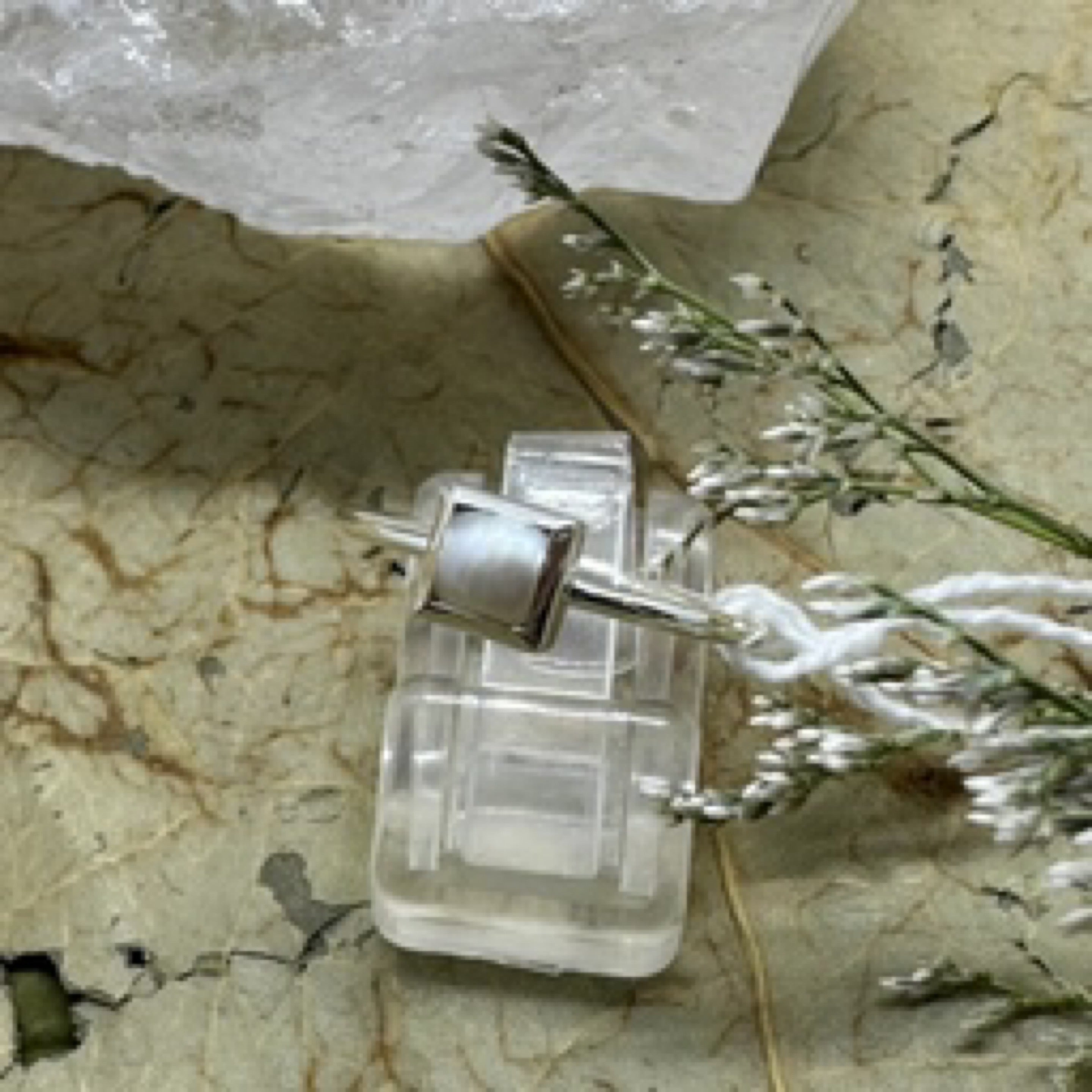 Pearl Square Mini 925 Sterling Silver Ring - Size 7 - Quality Gemstone Jewellery