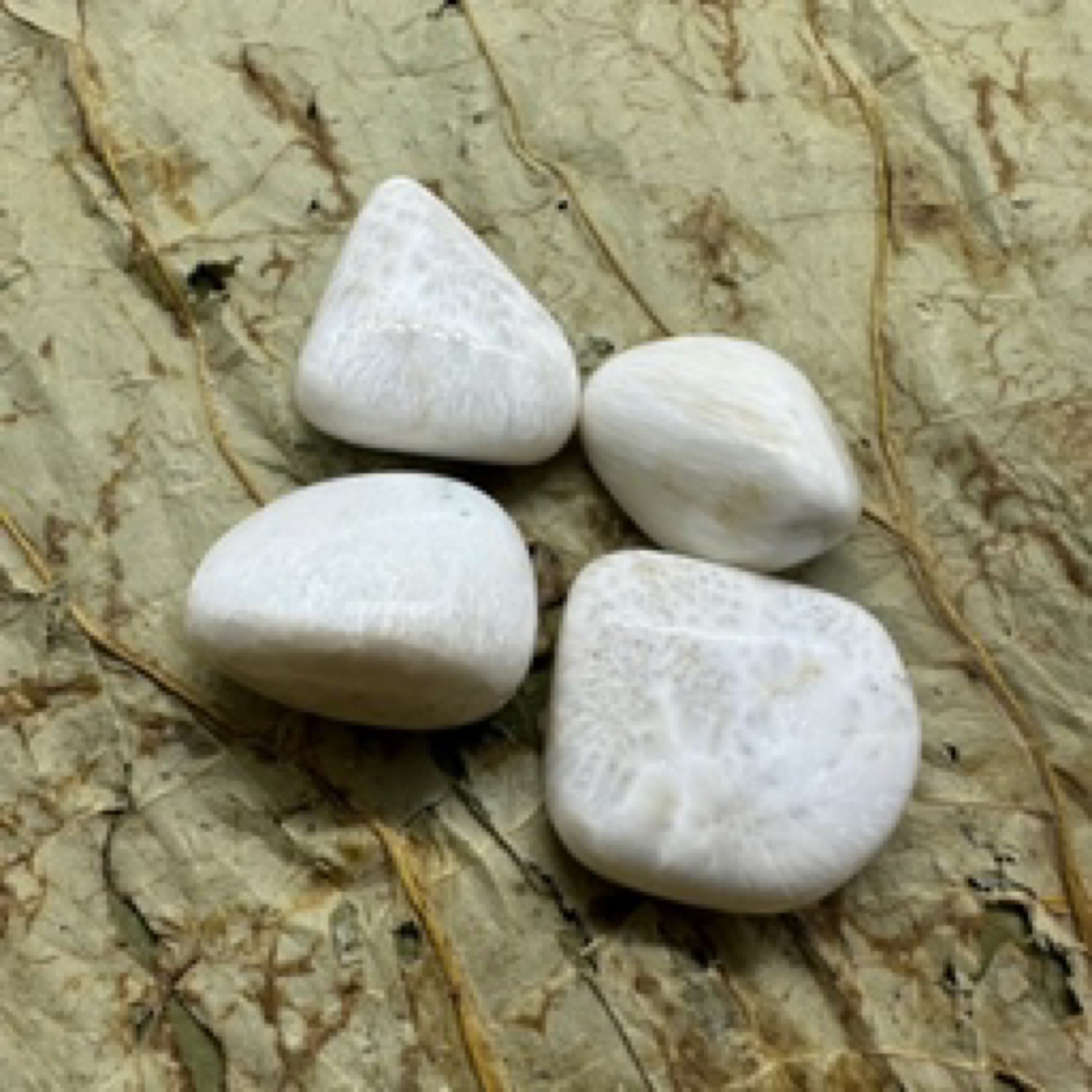 स्कोलेसाइट - उपचार - टम्बल्ड स्टोन्स