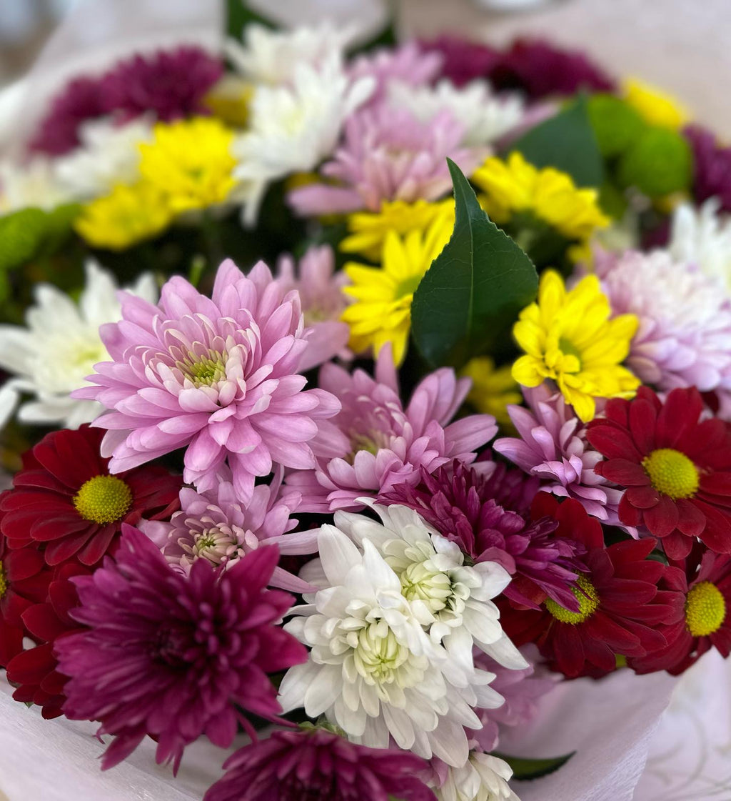 Chrysanthemum bouquet Launceston