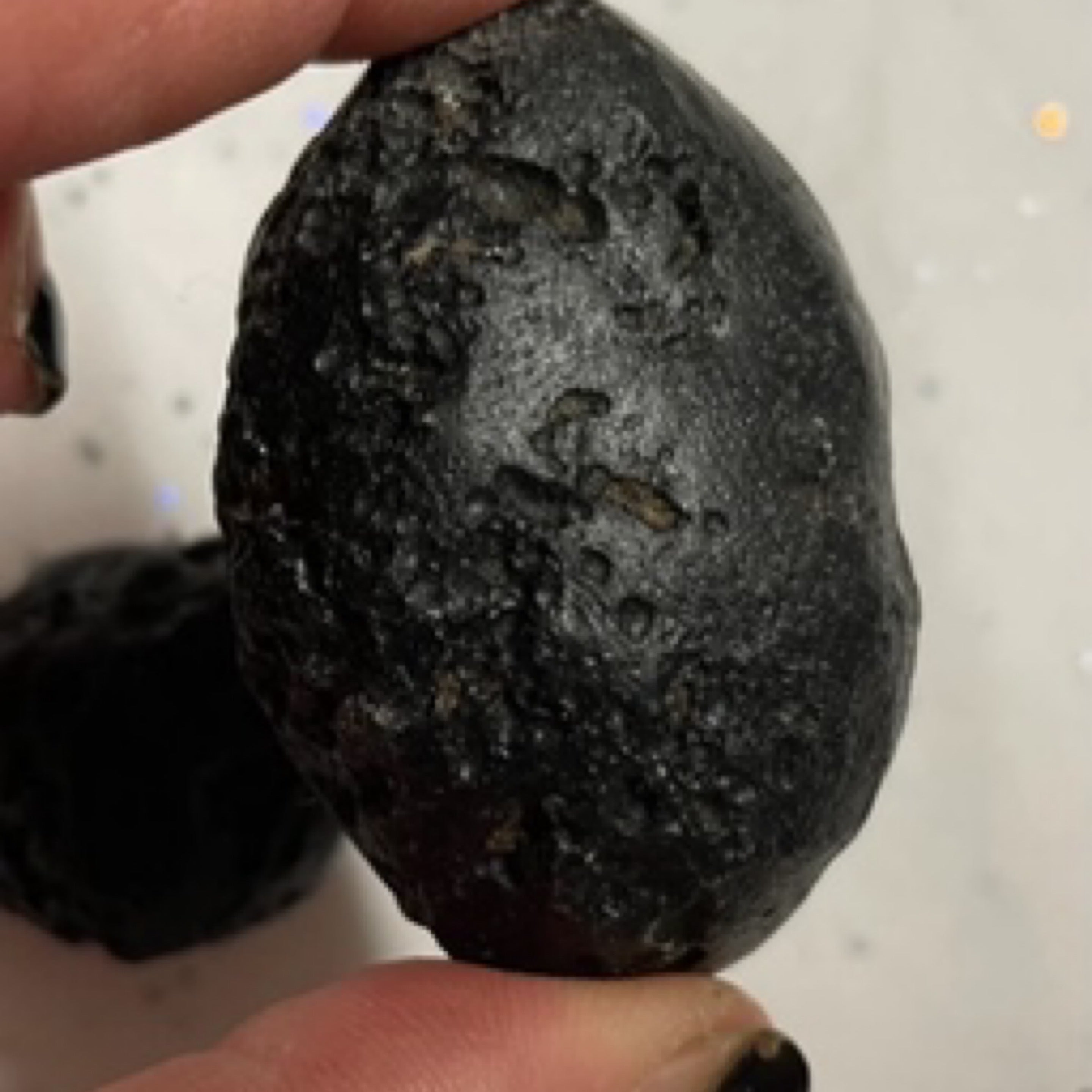 टेक्टाइट संपूर्ण $40