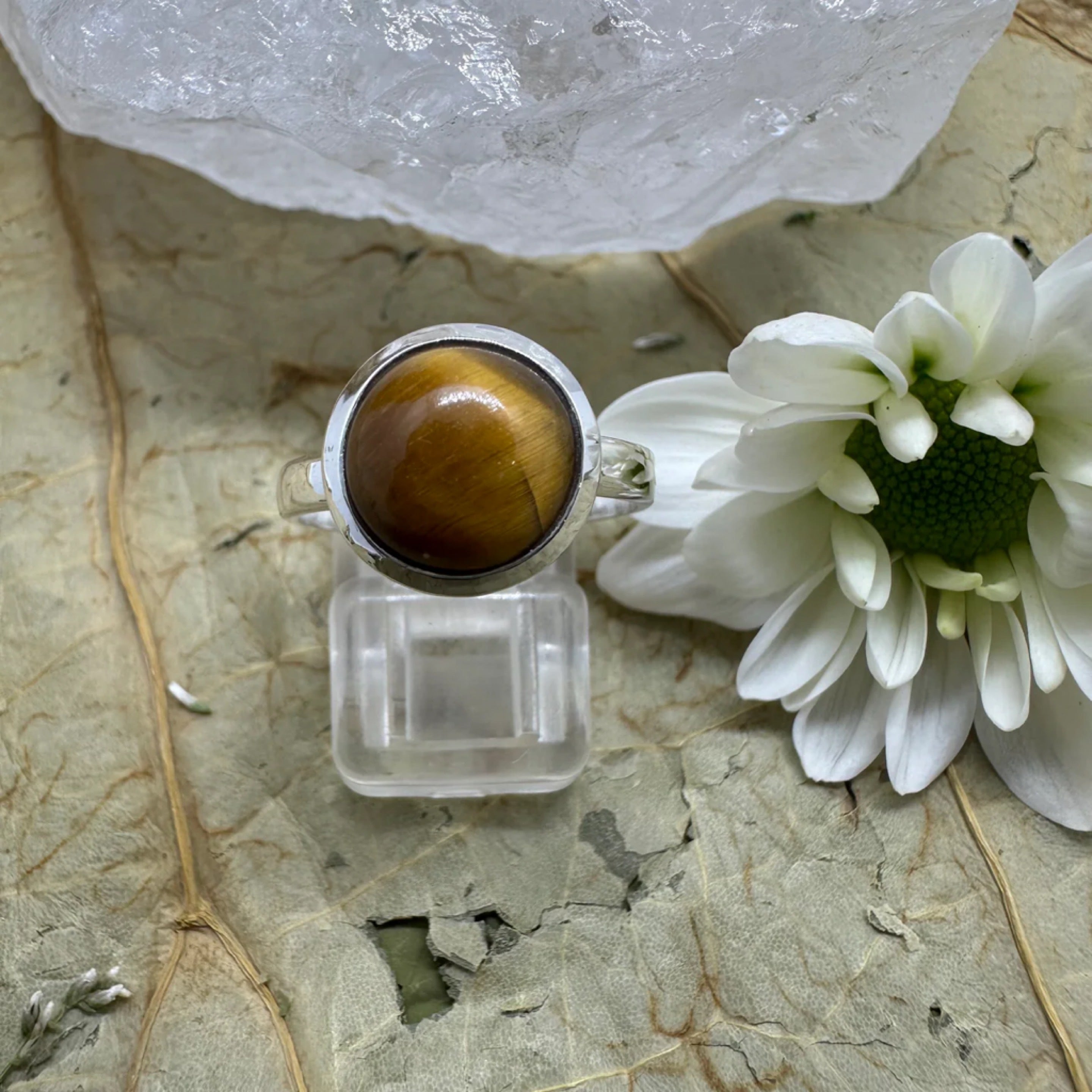 Tiger Eye 925 Sterling Silver Ring - Size 7 - Quality Gemstone Jewellery