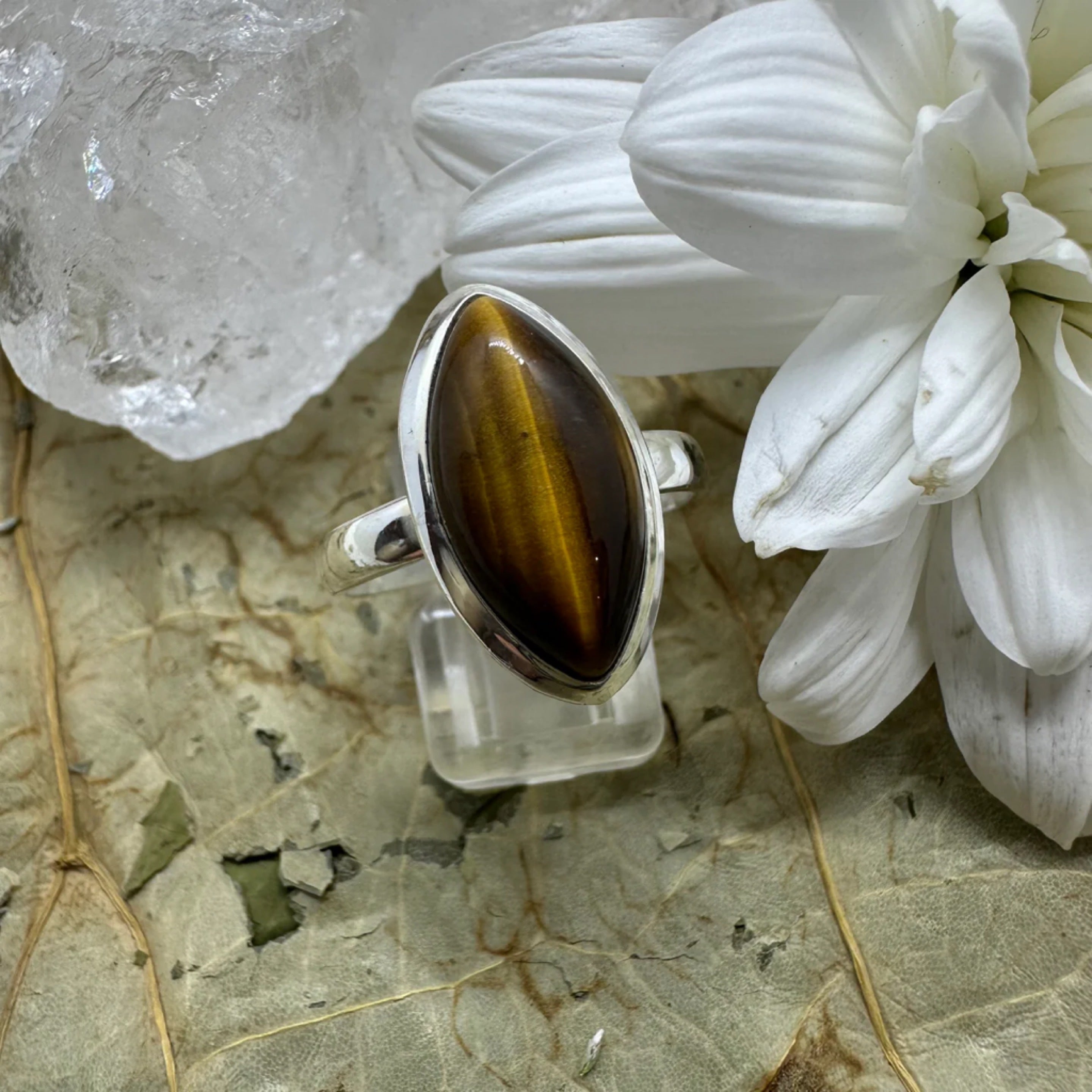 Tiger Eye Pointed Oval 925 Sterling Silver Ring - Size 9 - Quality Gemstone Jewellery