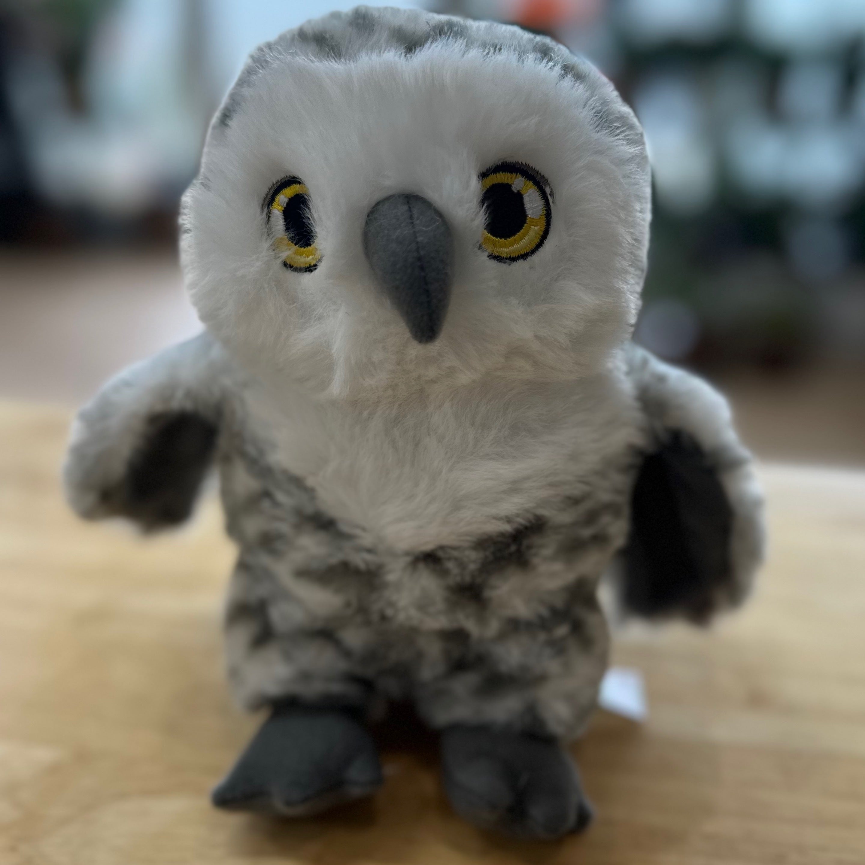 Owl - White\Grey