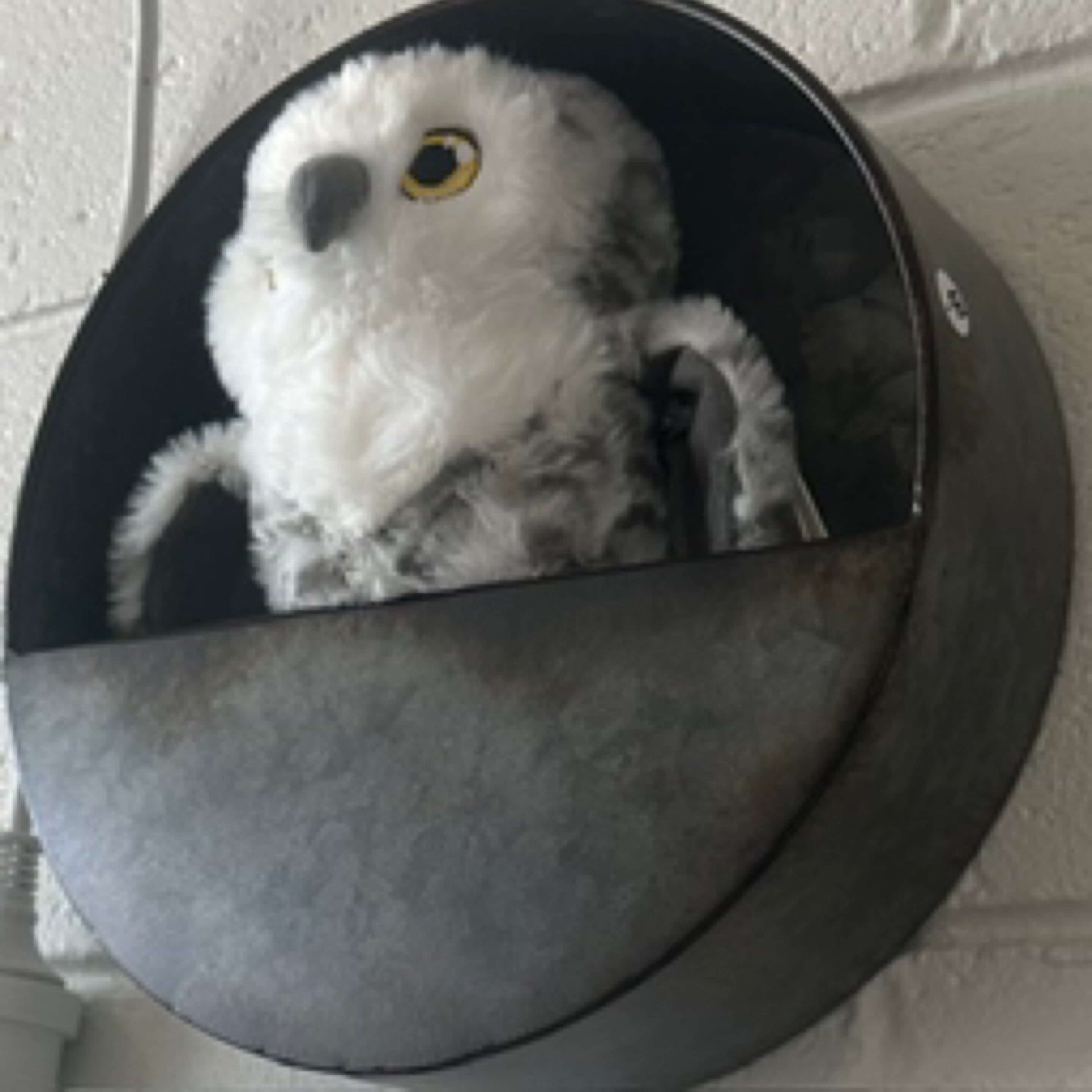 Elemental Round Wall Planter 26 x 8 x 26cm