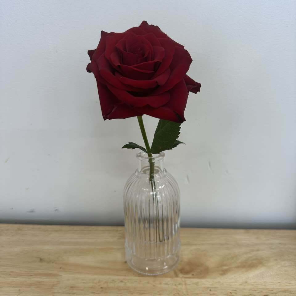 Bud Vase Vintage Style - Assorted Styles