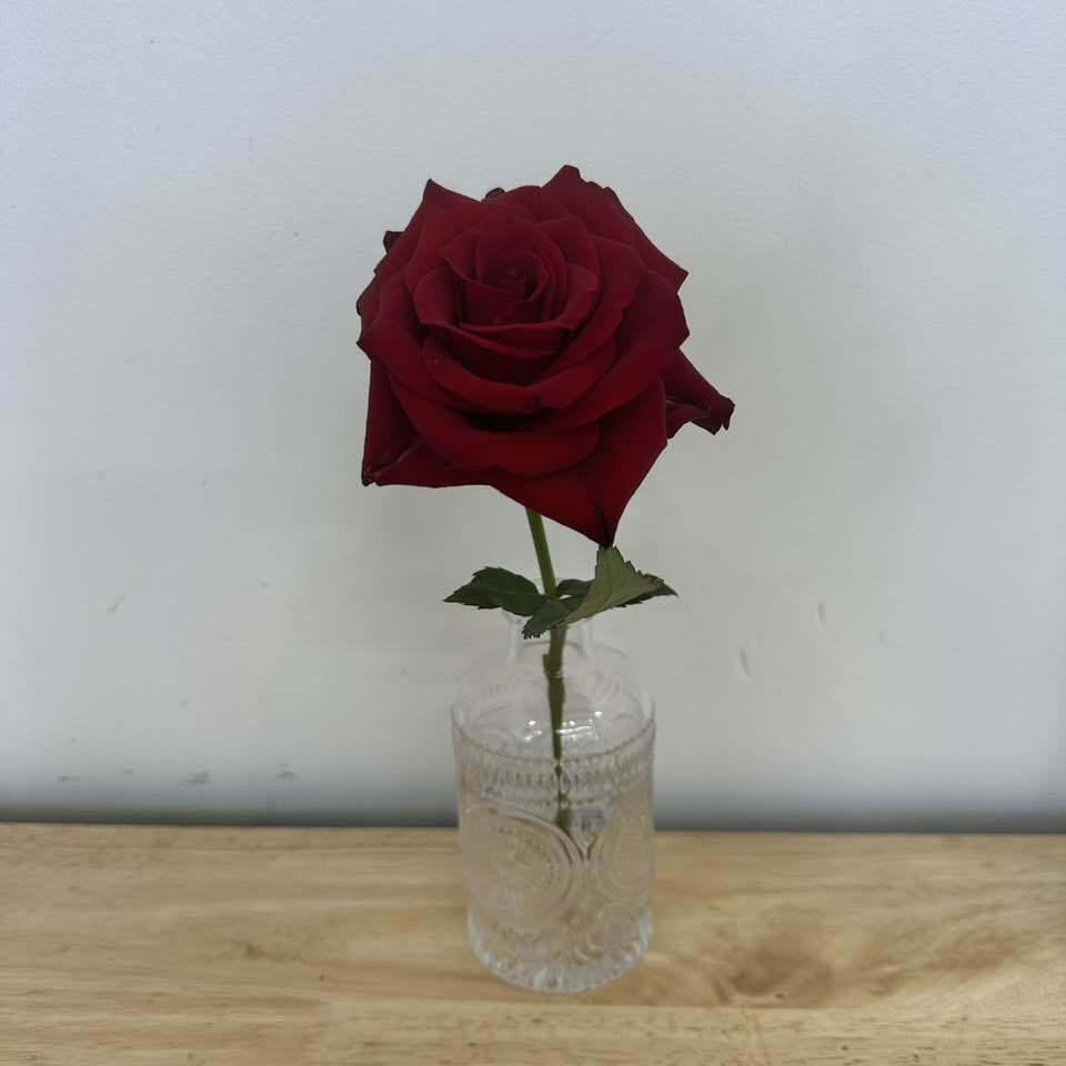 Bud Vase Vintage Style - Assorted Styles