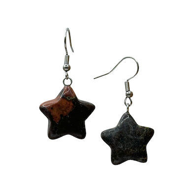 Dragon Blood Jasper Star Surgical Steel Earrings