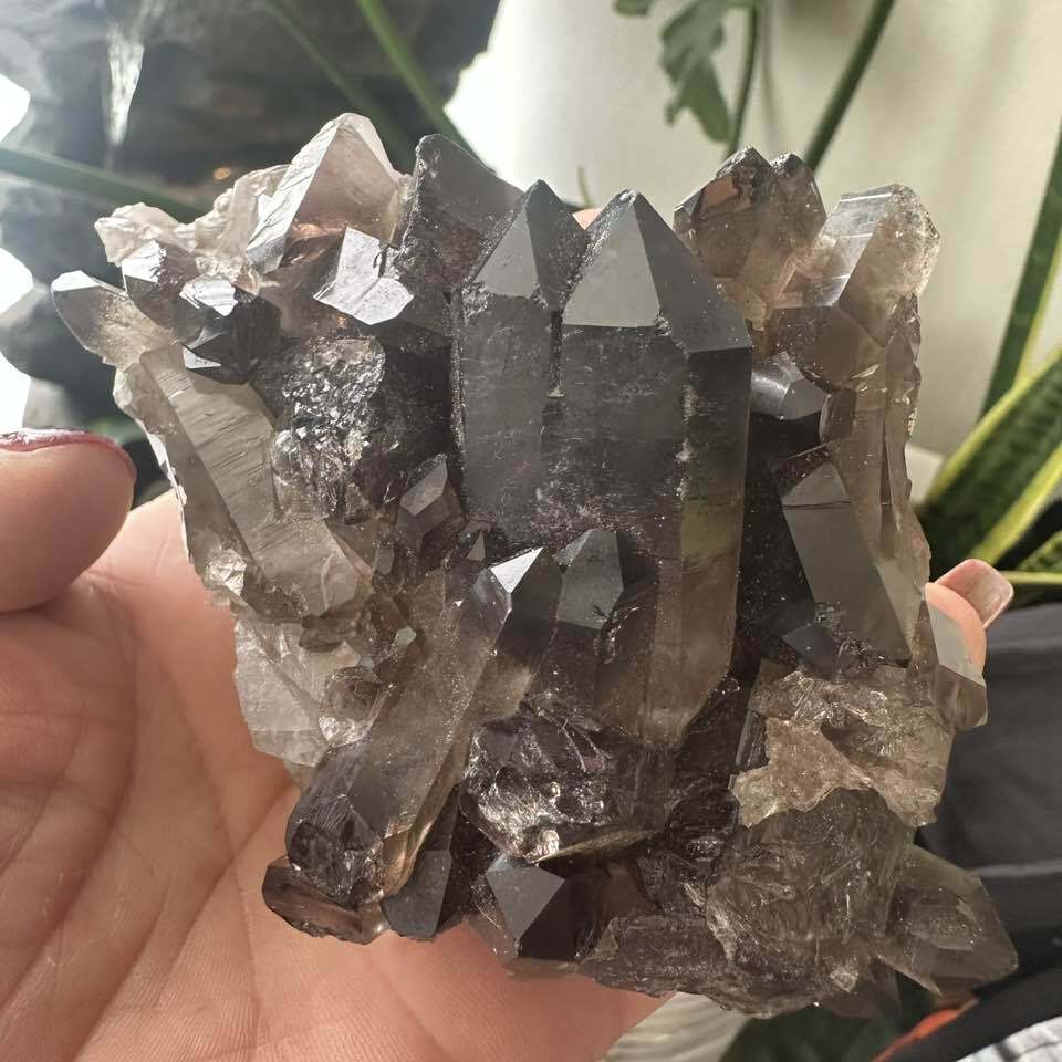 स्मोकी क्वार्ट्ज क्लस्टर/पॉइंट