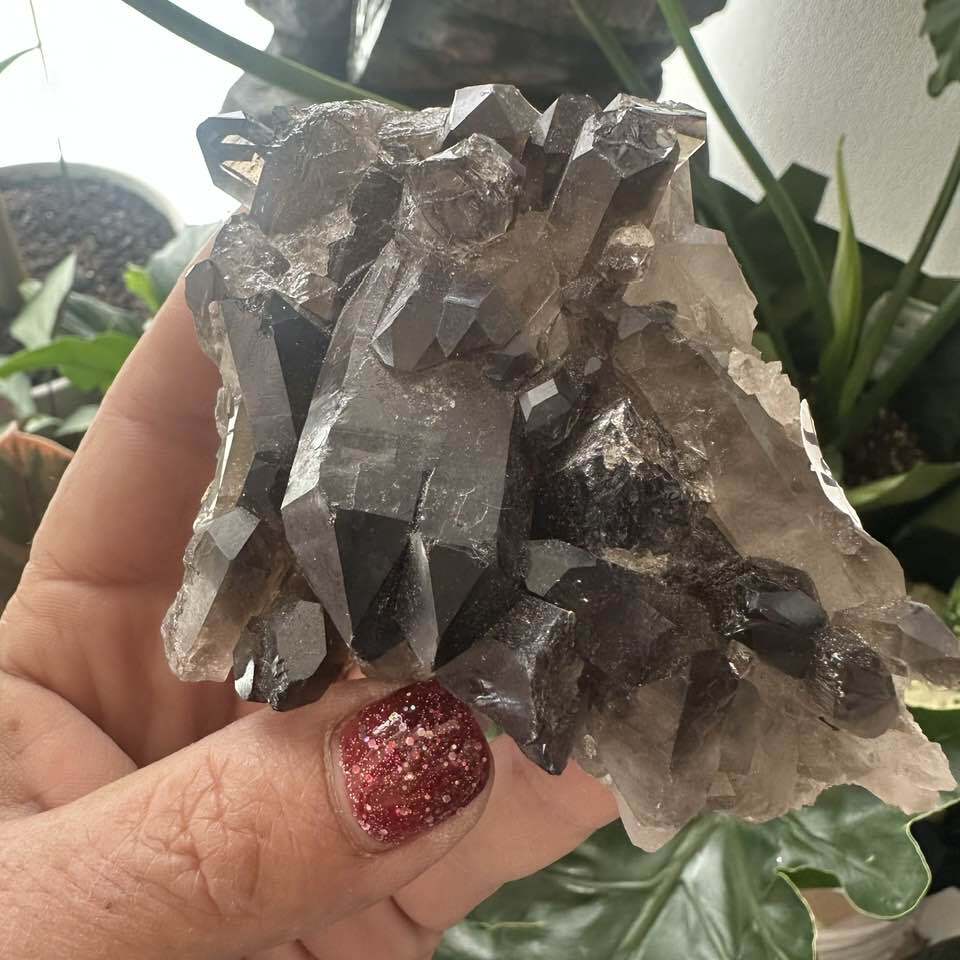 स्मोकी क्वार्ट्ज क्लस्टर/पॉइंट