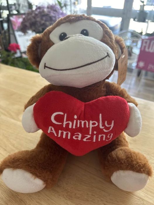 Chimply Amazing 25cm