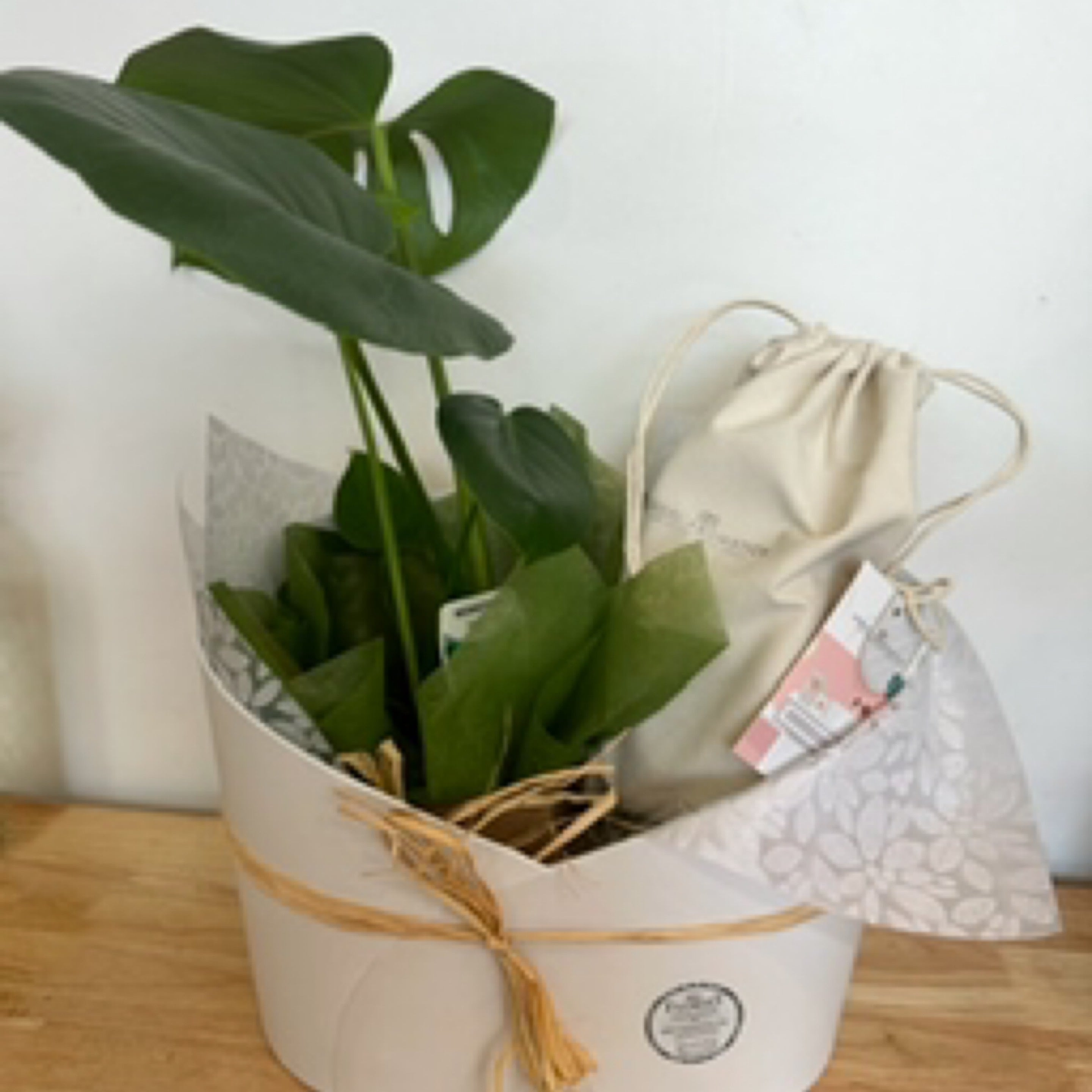 Indoor Plant with Body Scrub & Candle Hamper